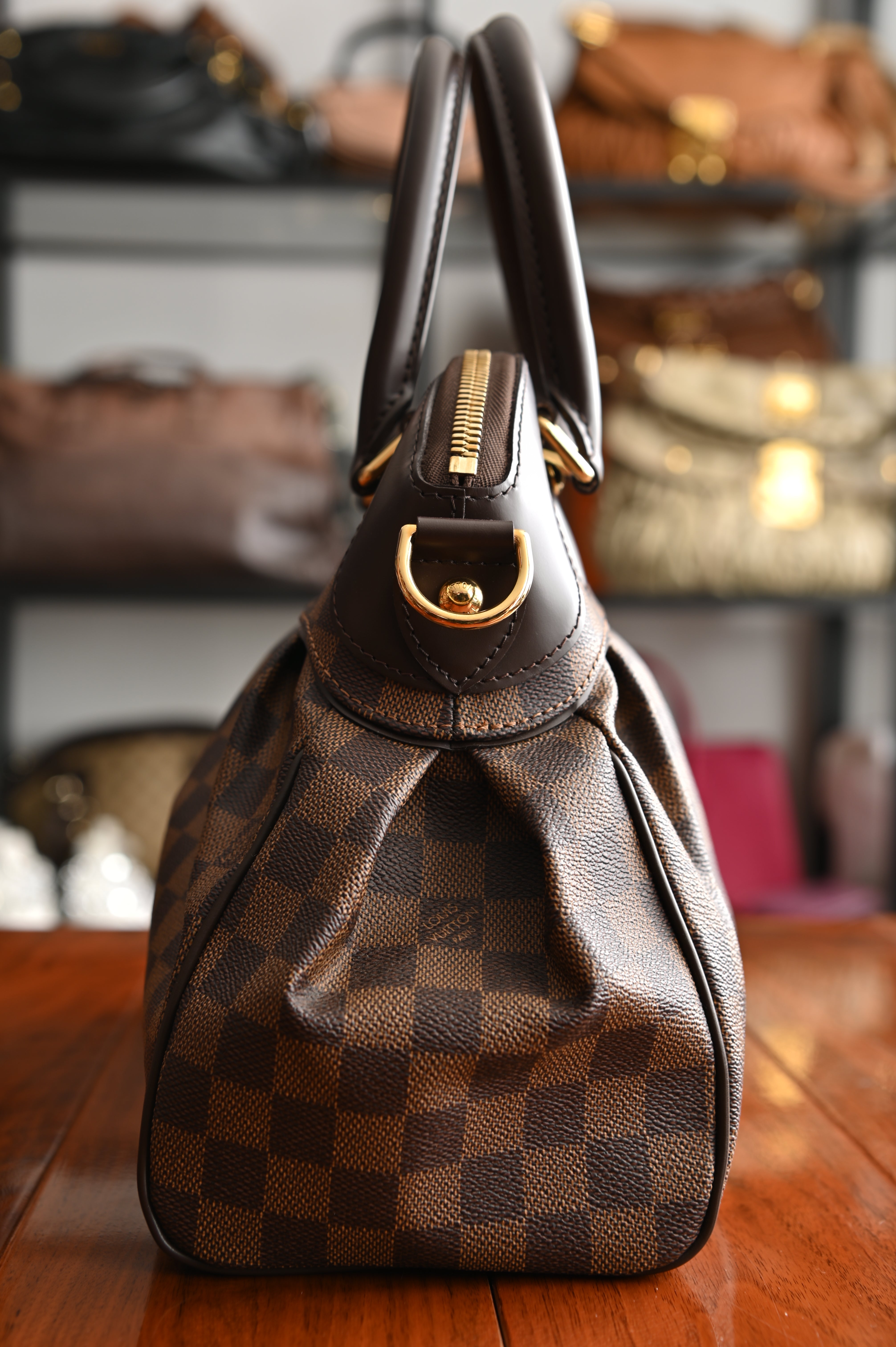 Louis Vuitton Damier Ebene Trevi PM bag