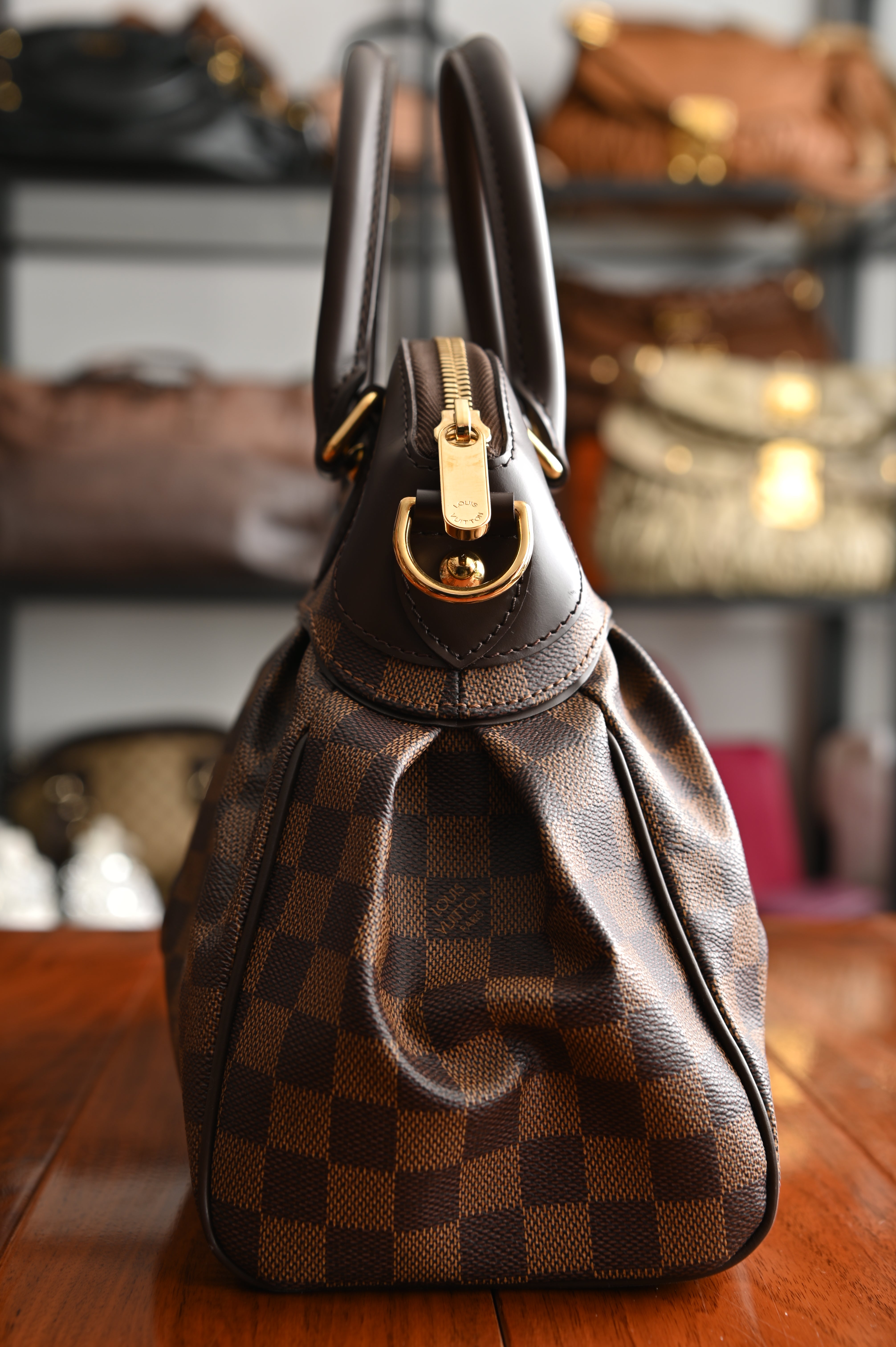 Louis Vuitton Damier Ebene Trevi PM bag