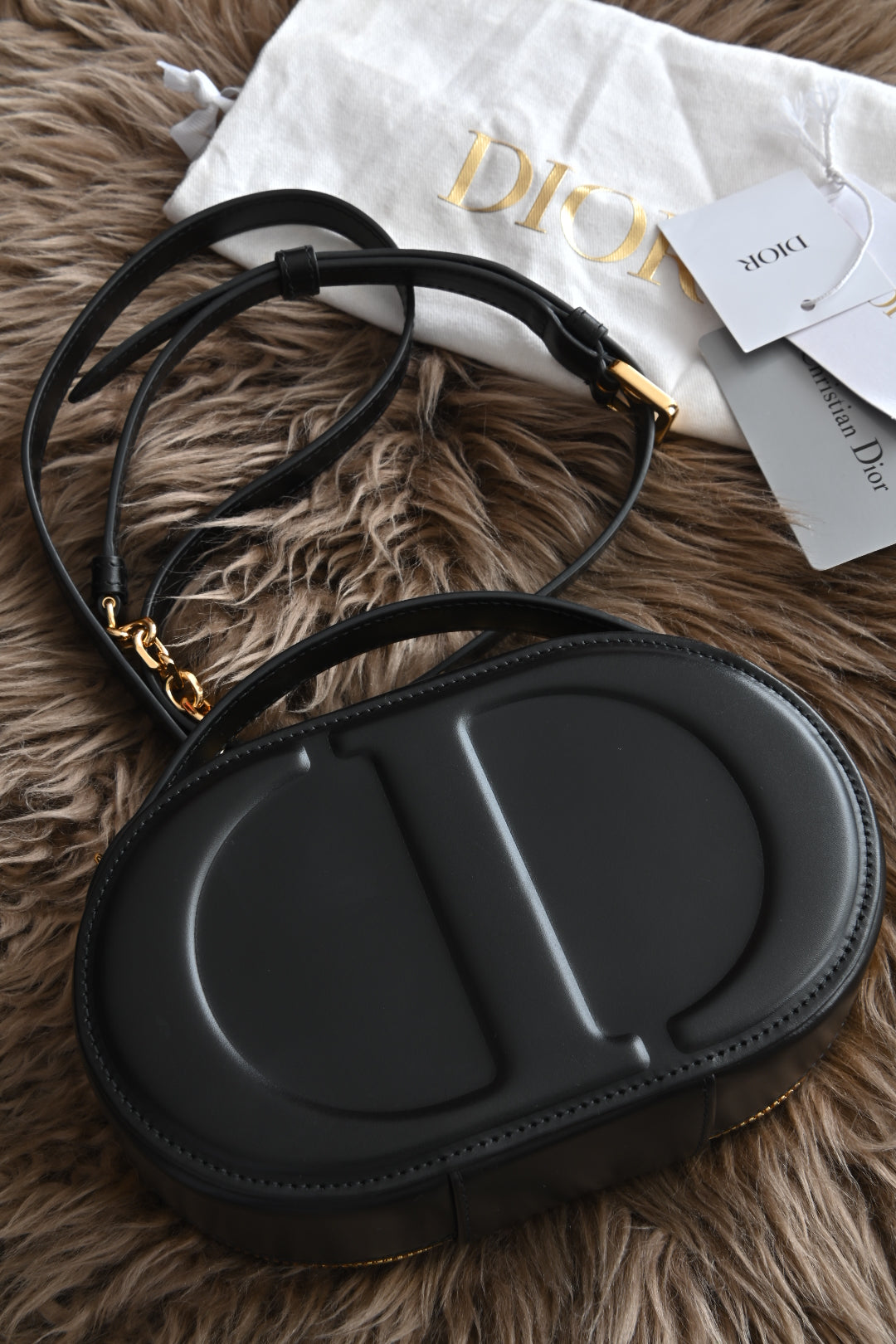 Dior CD Signature Oval Camera Bag