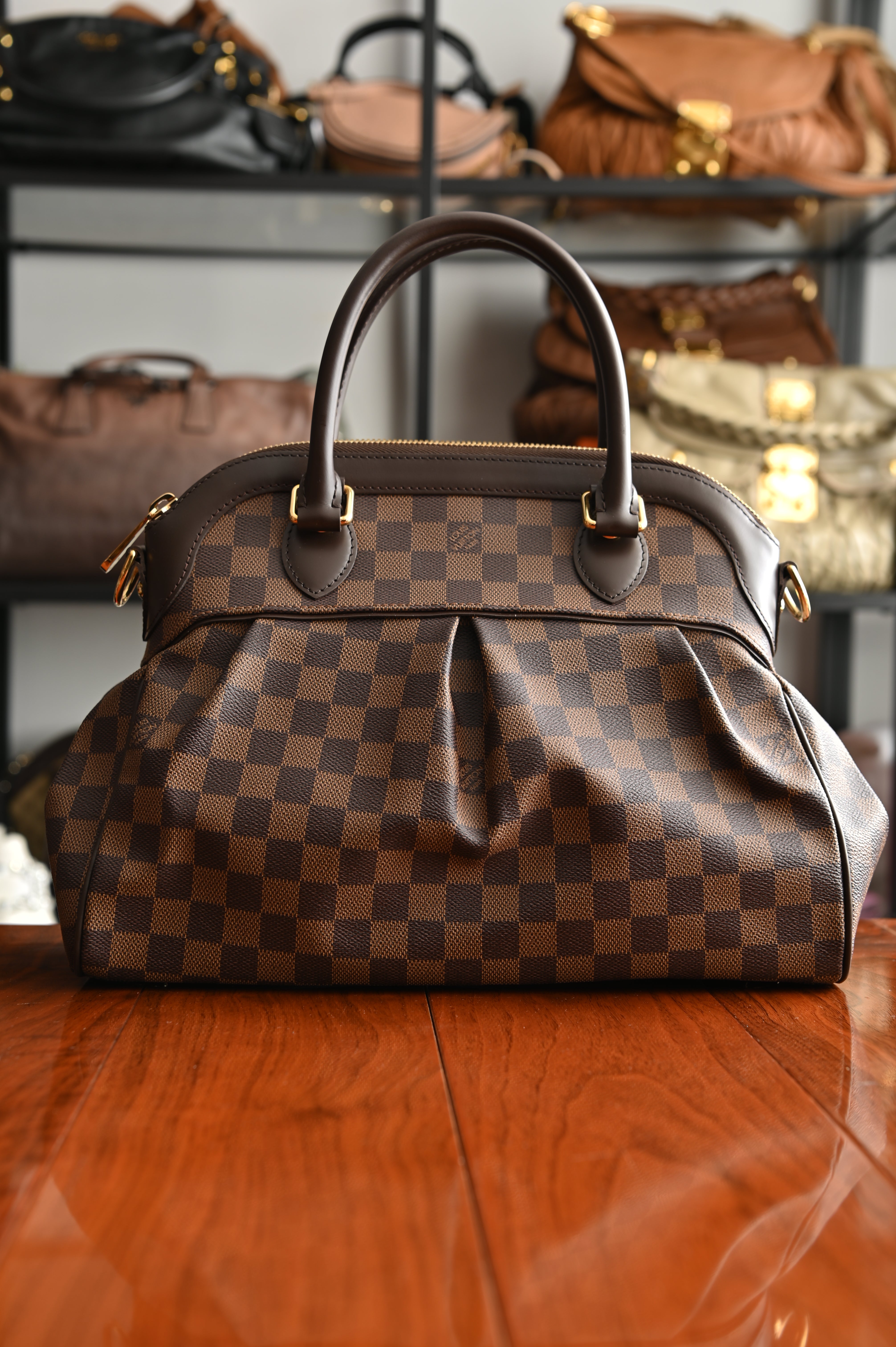 Louis Vuitton Damier Ebene Trevi PM bag