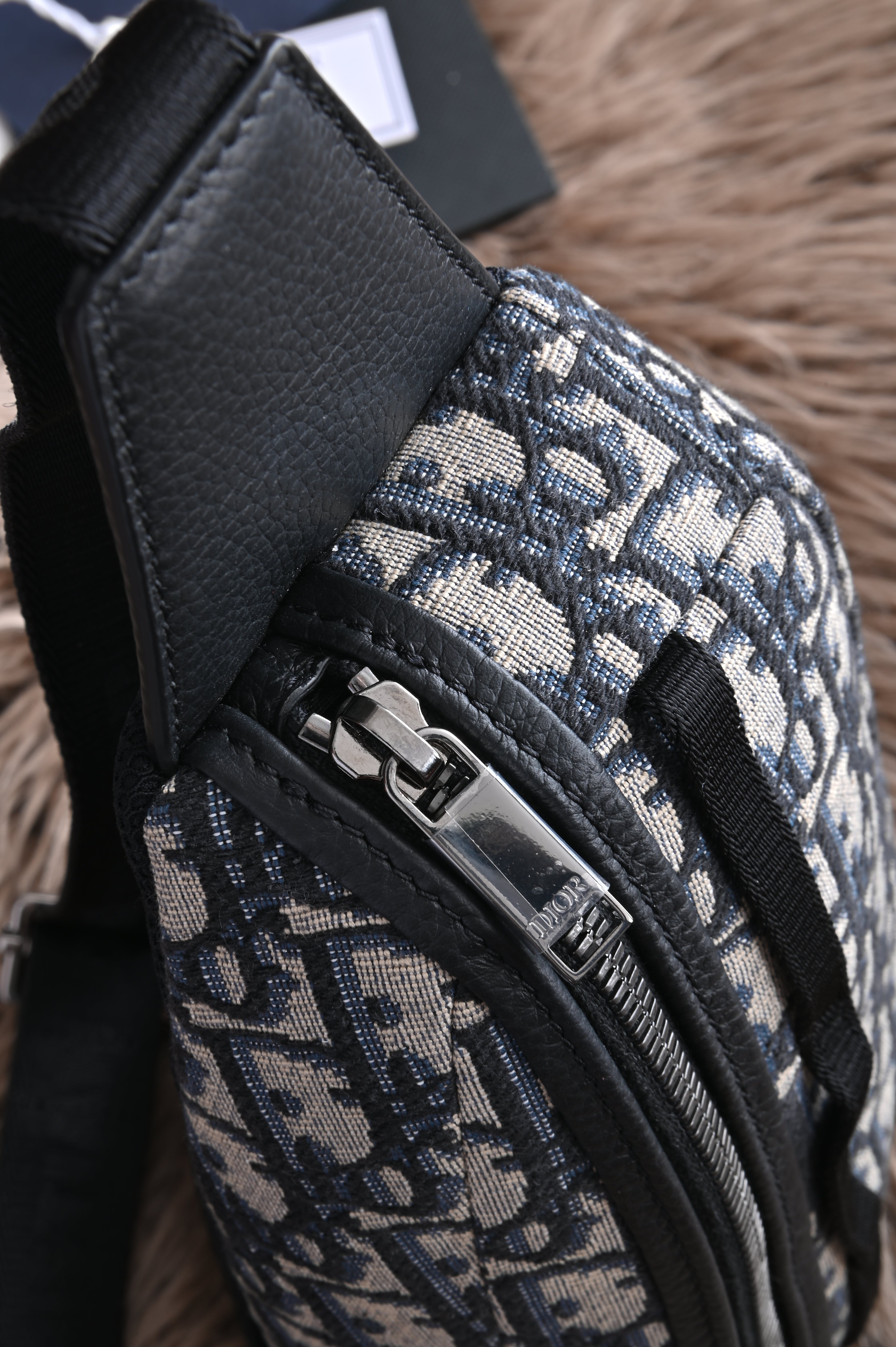 Dior Scarab Oblique Body Bag