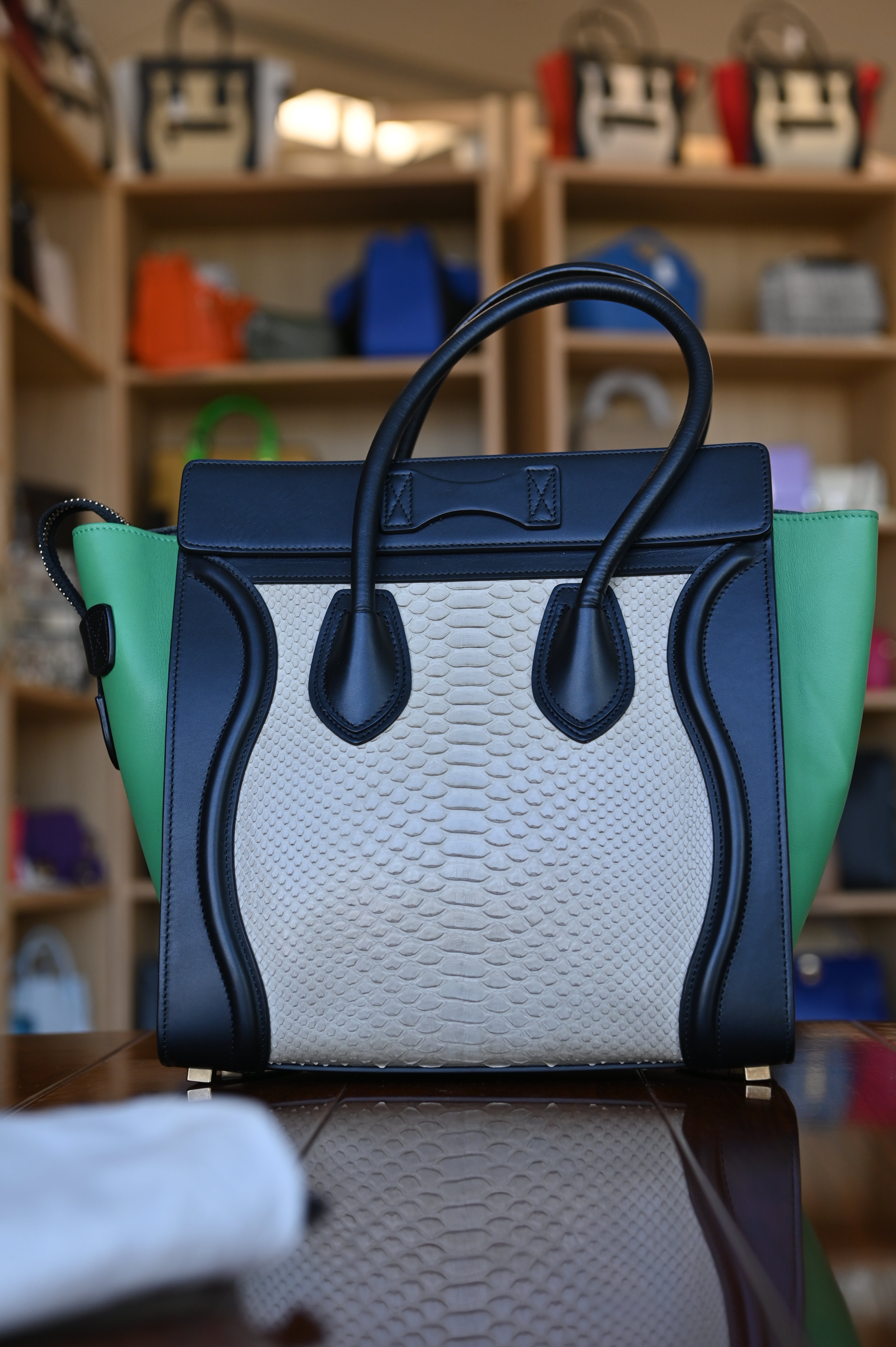 Celine Green Micro Luggage Tote Bag back