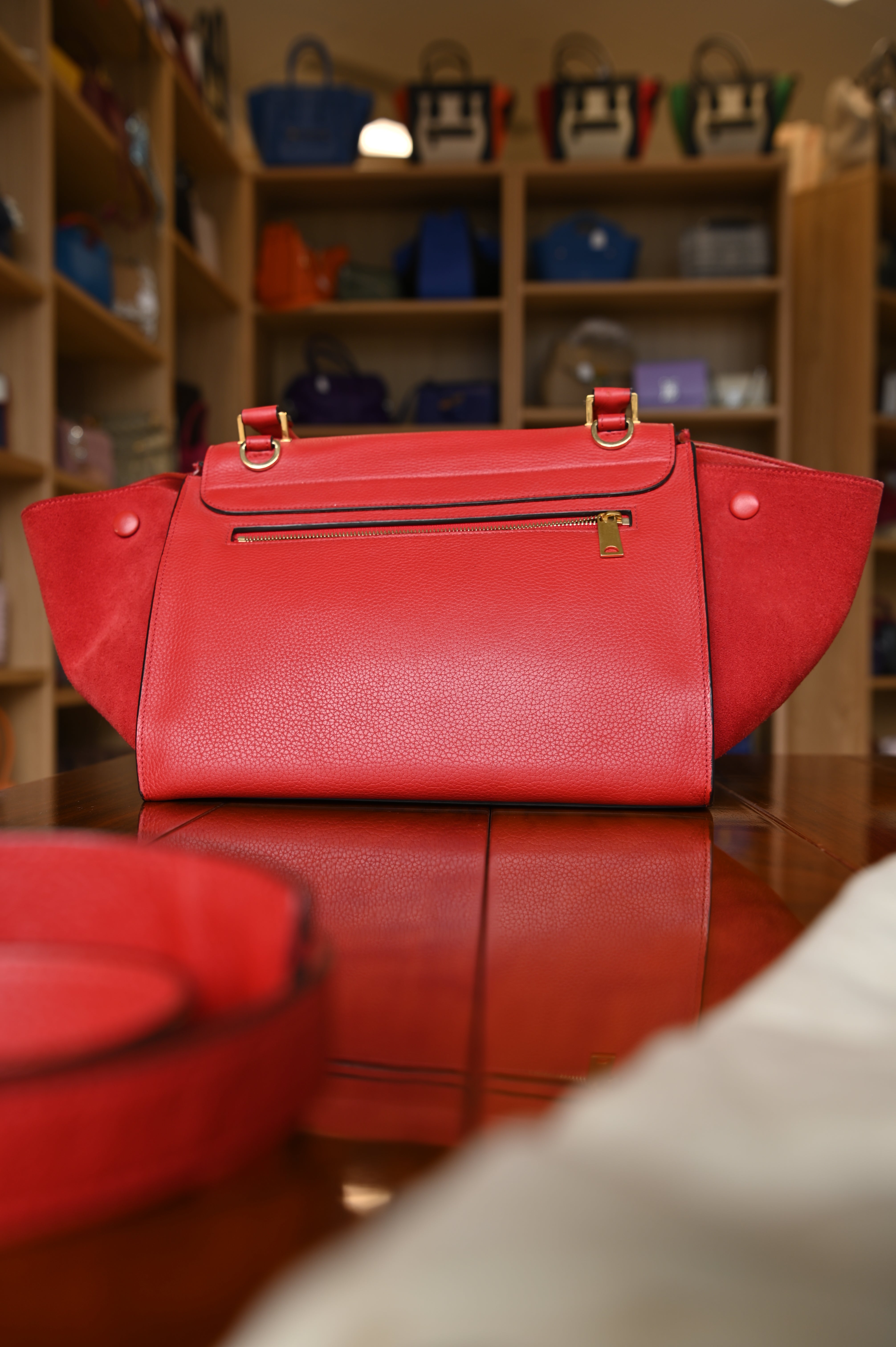 Celine Red LUGGAGE Split Leather Handbag back