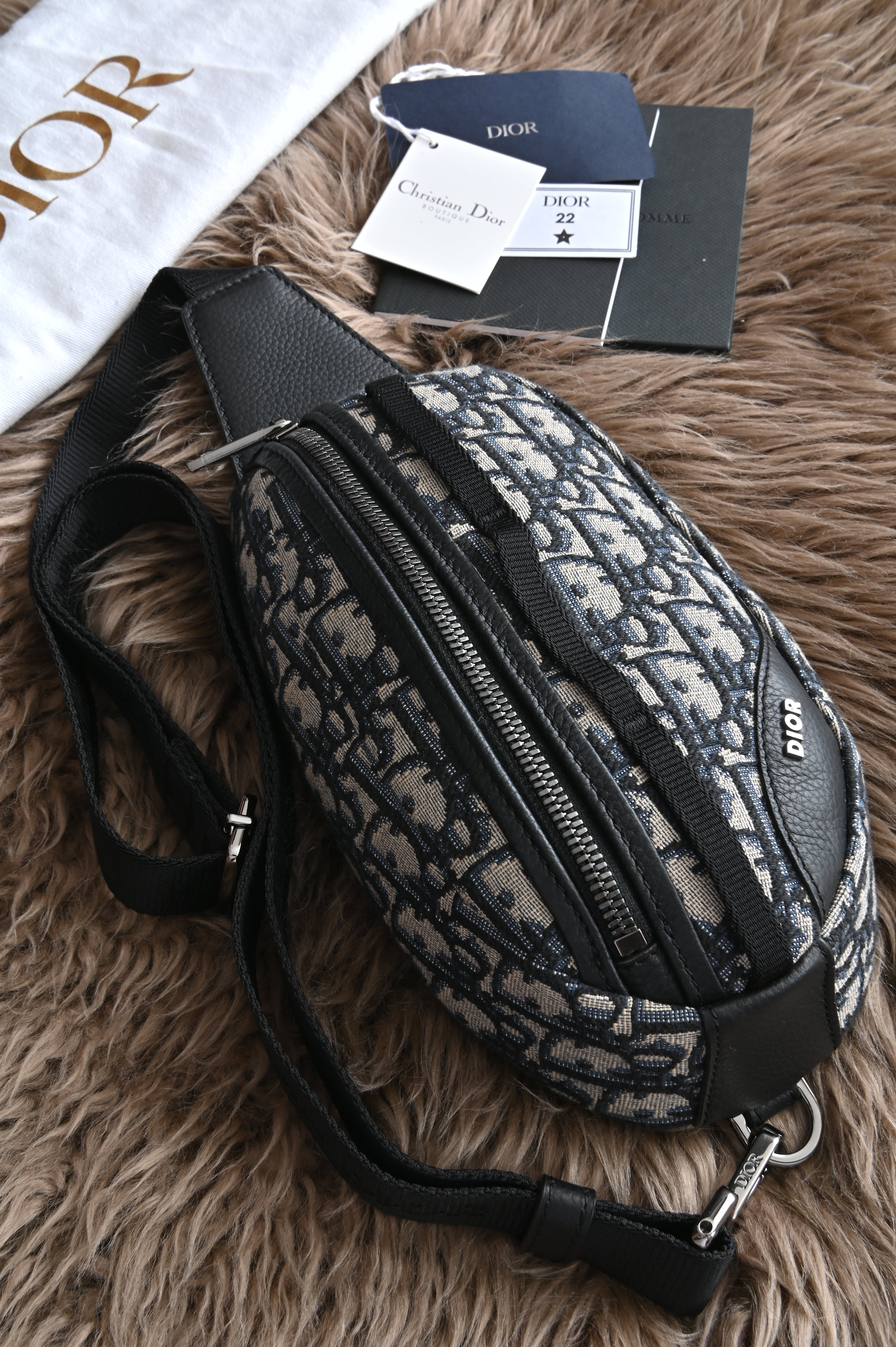 Dior Scarab Oblique Body Bag