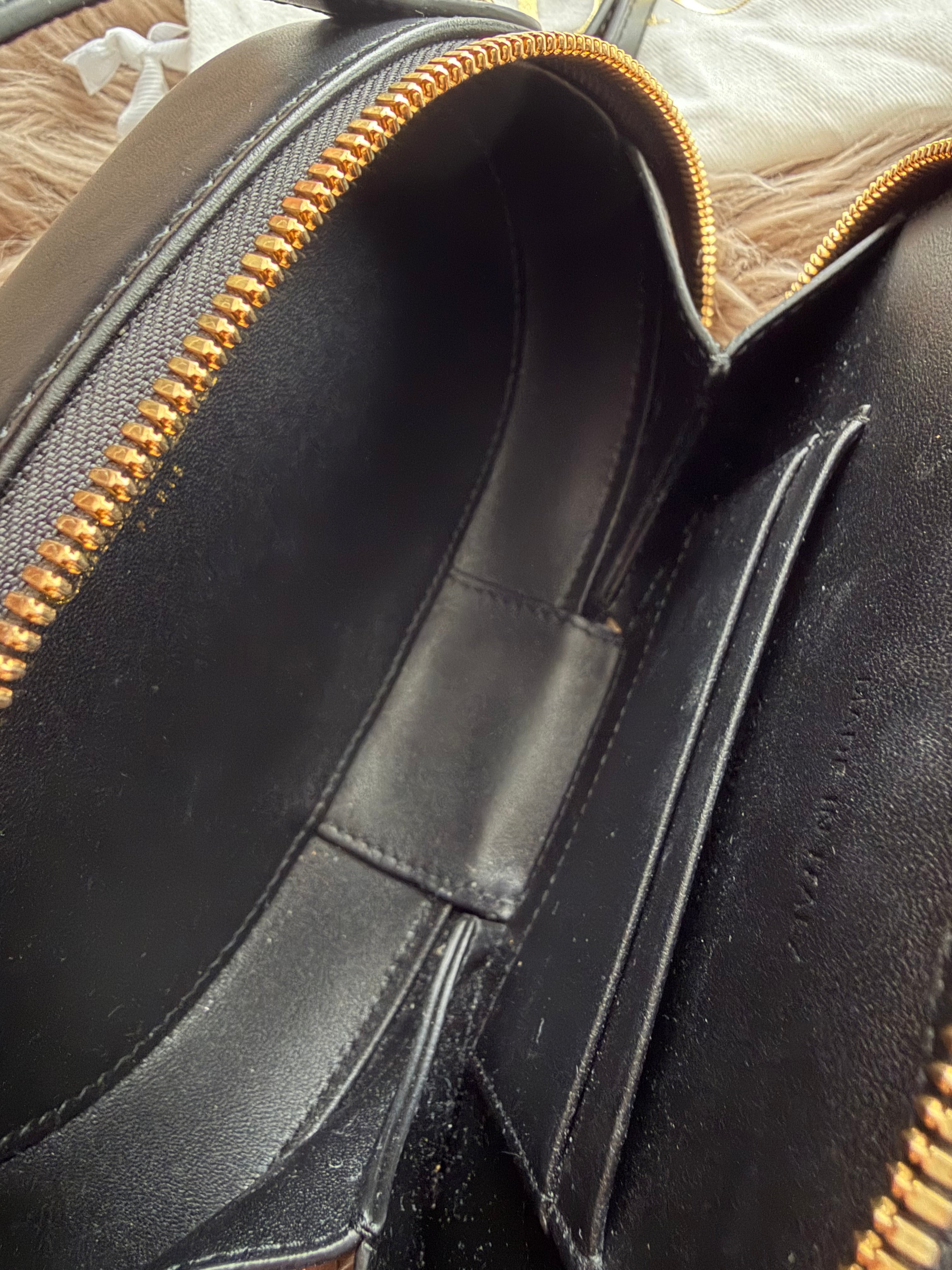 Dior CD Signature Oval Camera Bag