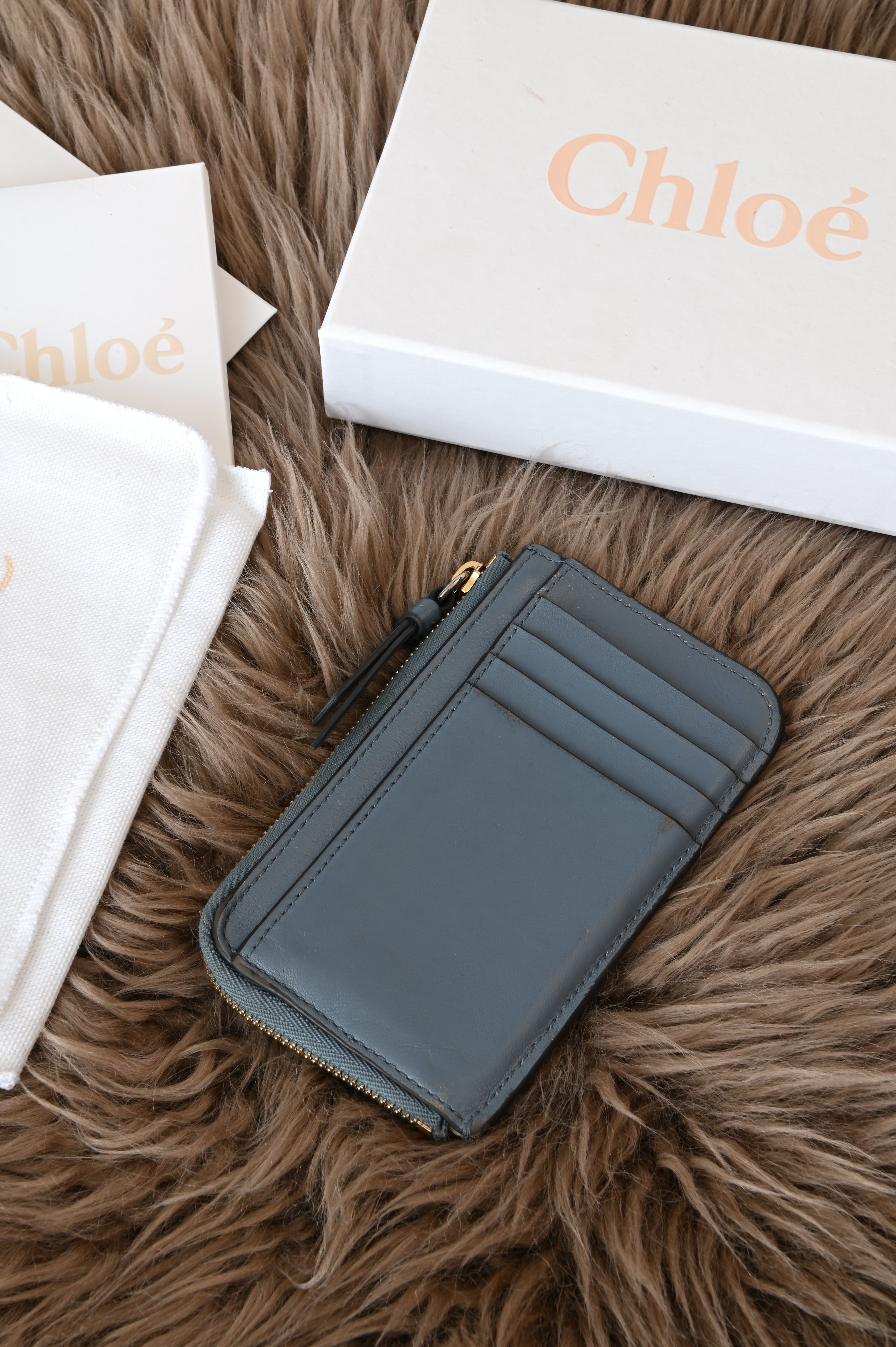 Chloe C cardholder in teal blue croc embossed