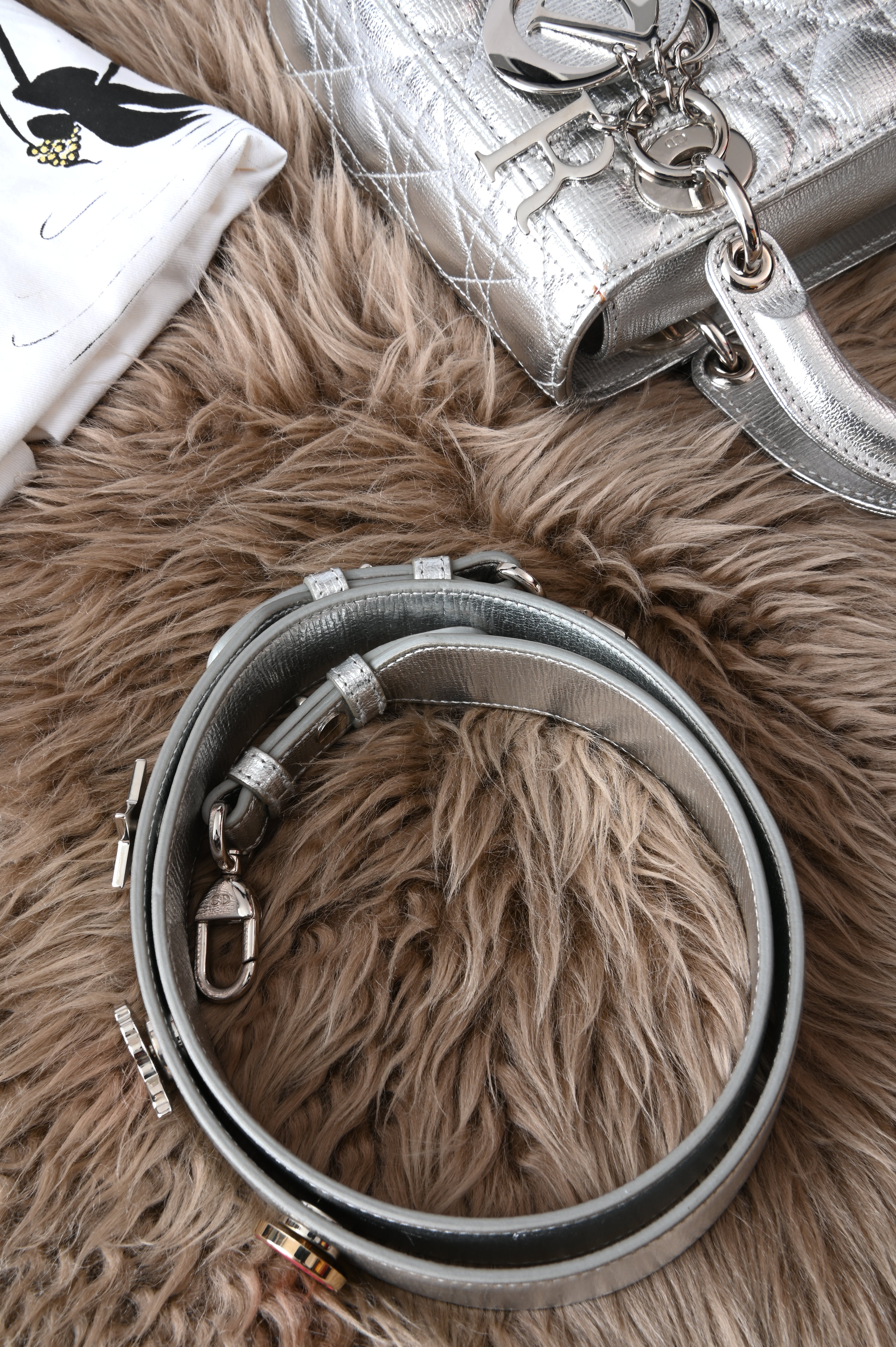 Christian Dior Small ABCDior in silver