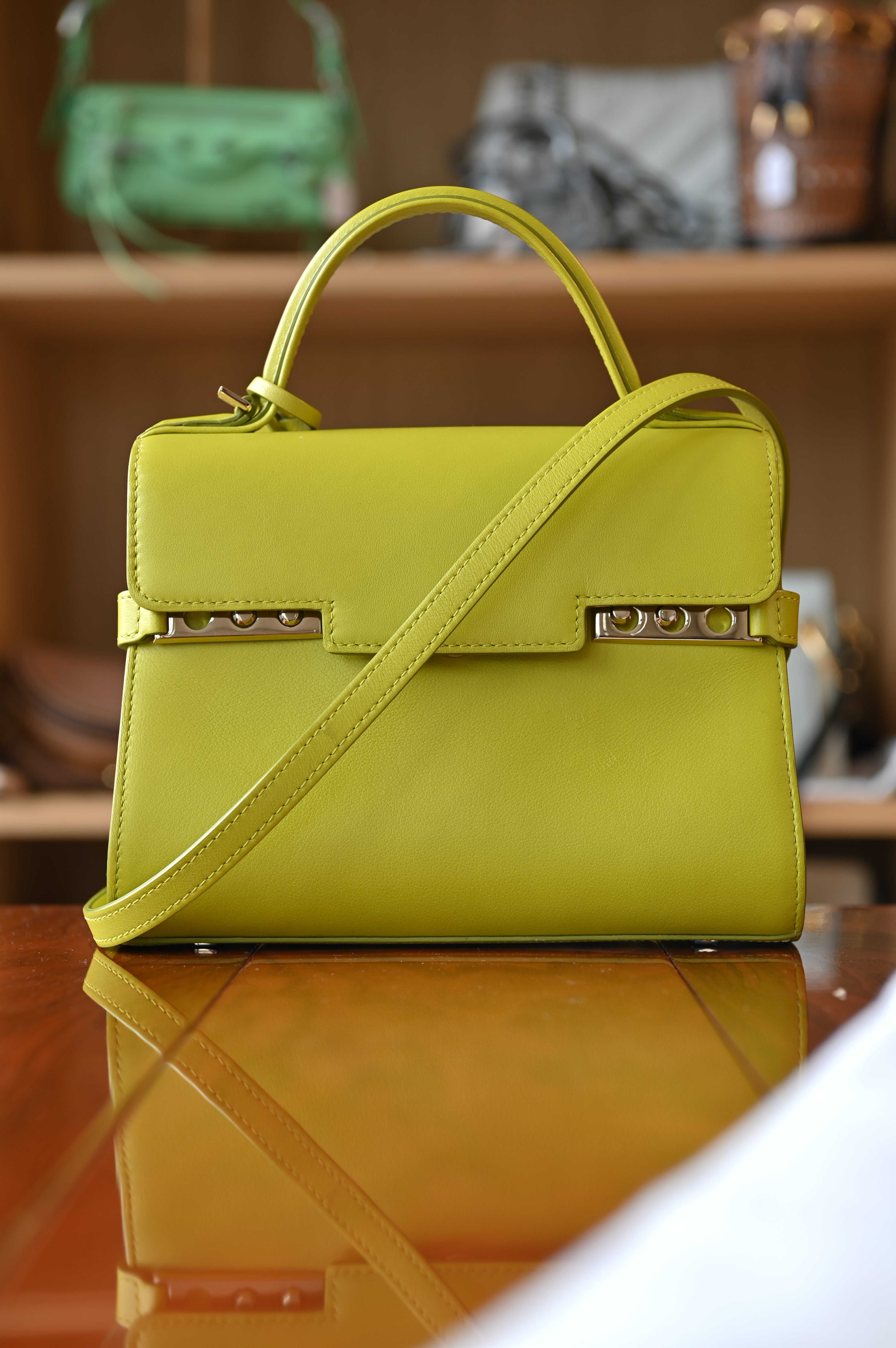 Delvaux Light Green Tempête PM Bag