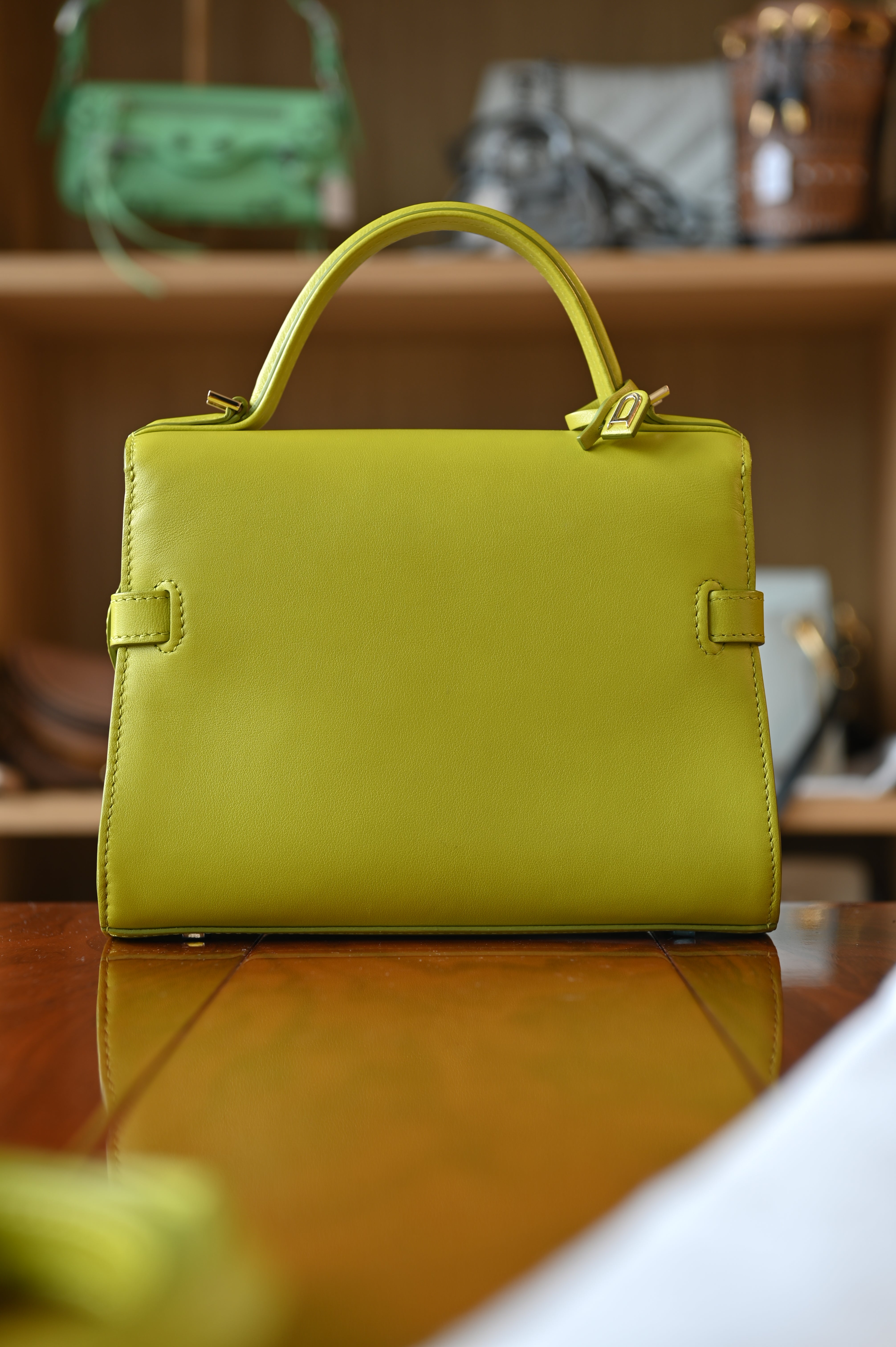 Delvaux Light Green Tempête PM Bag
