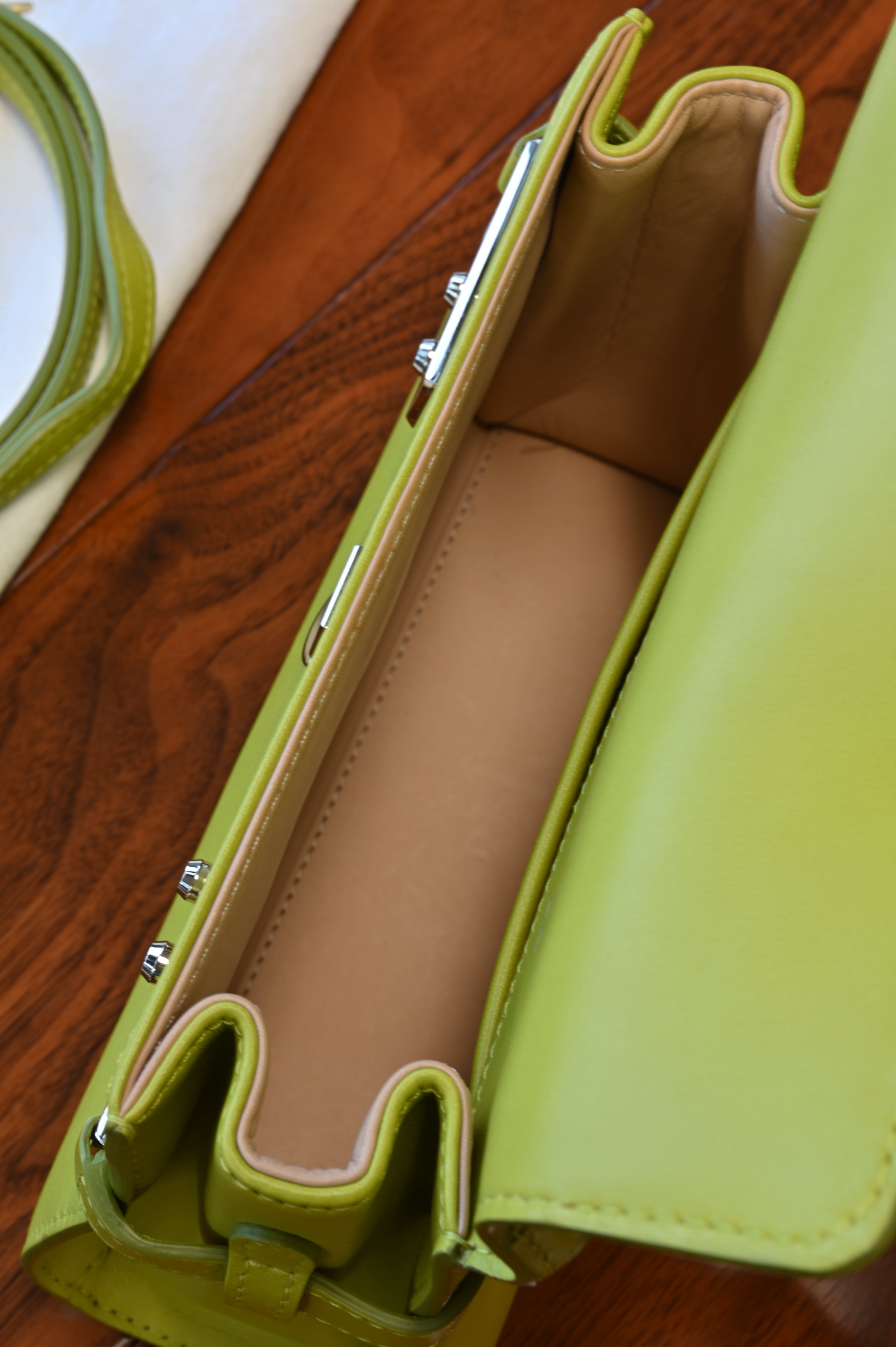 Delvaux Light Green Tempête PM Bag