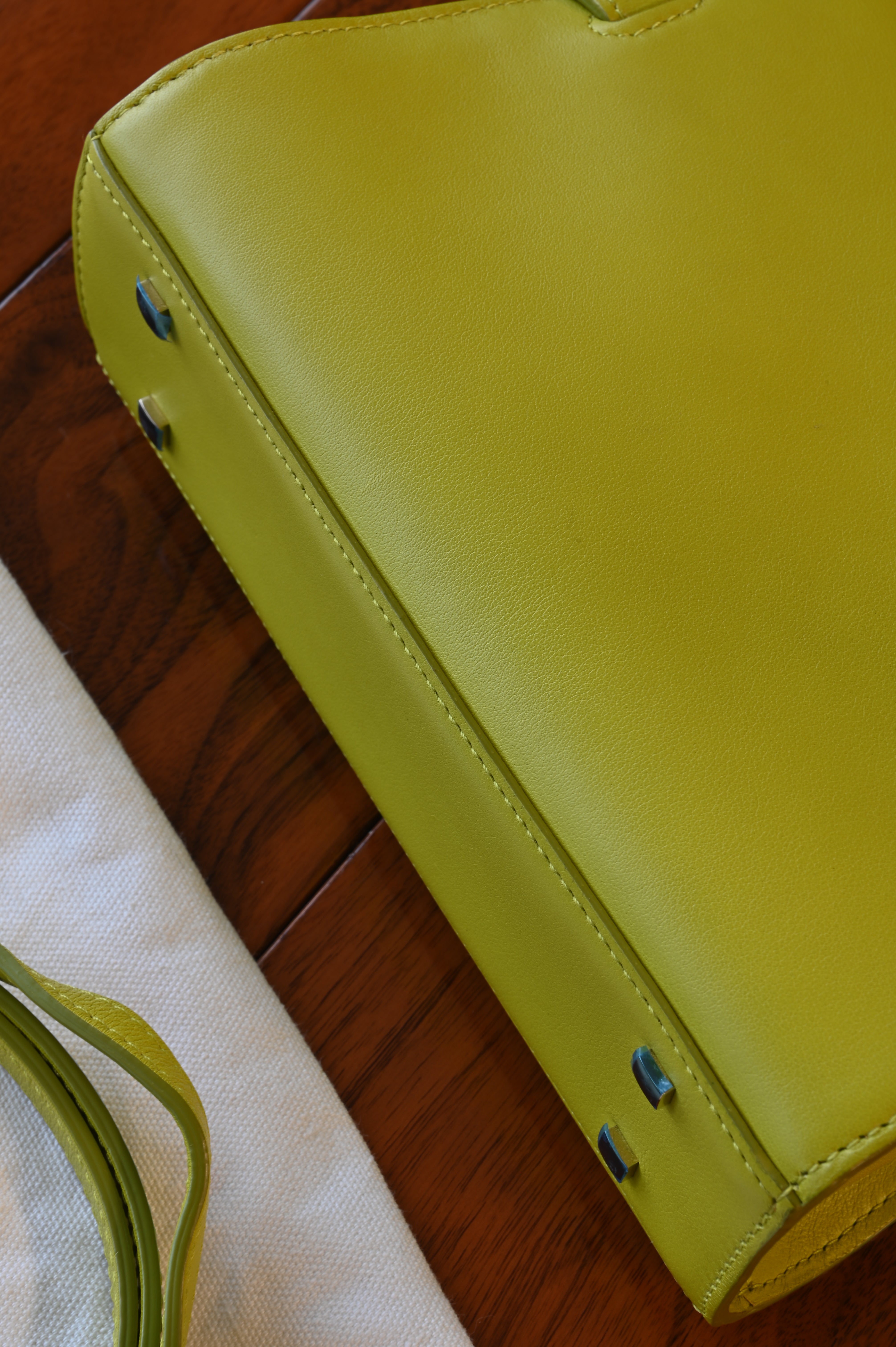 Delvaux Light Green Tempête PM Bag
