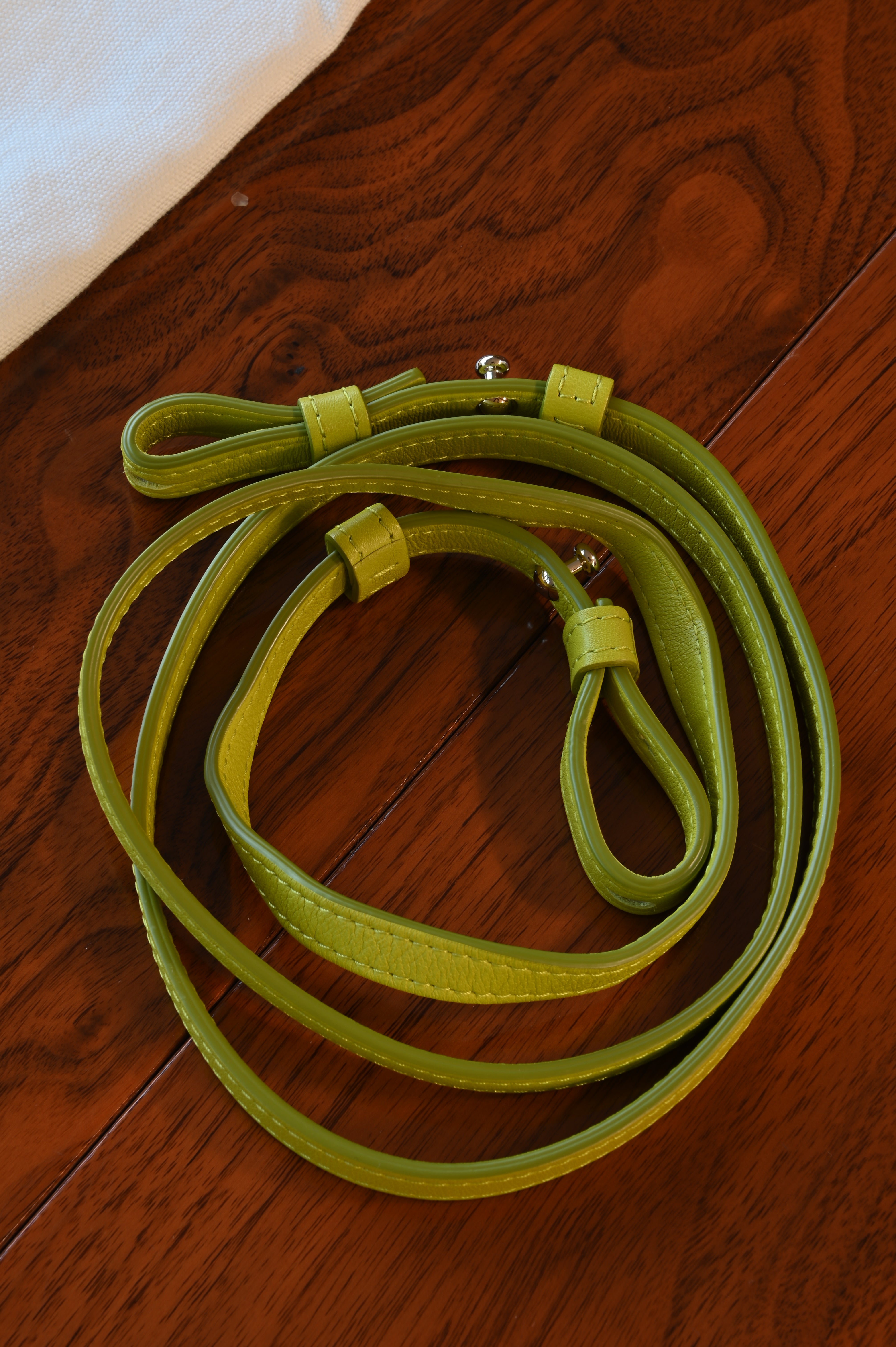 Delvaux Light Green Tempête PM Bag