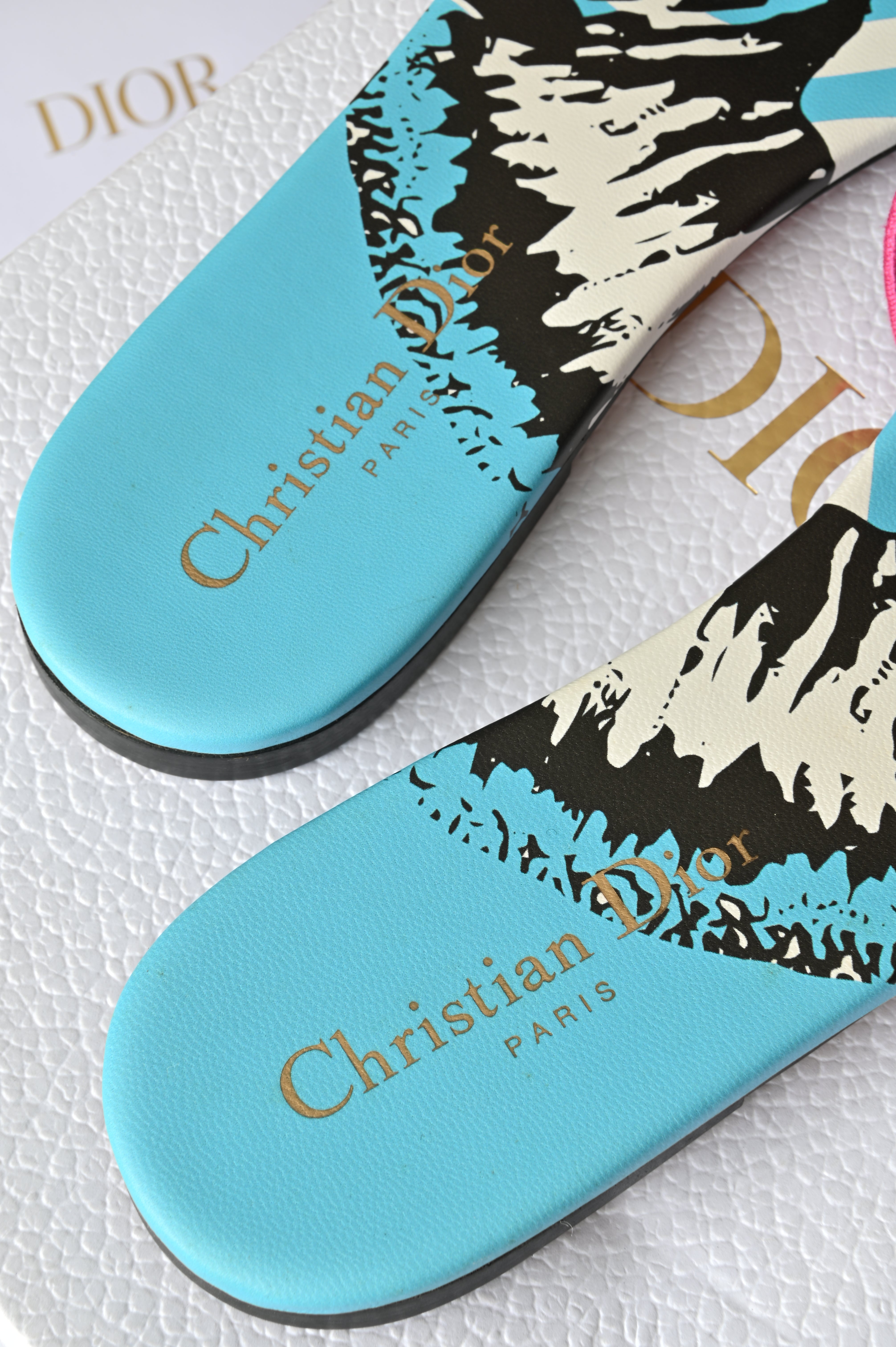 Christian Dior Embroidered Zebra slip ons