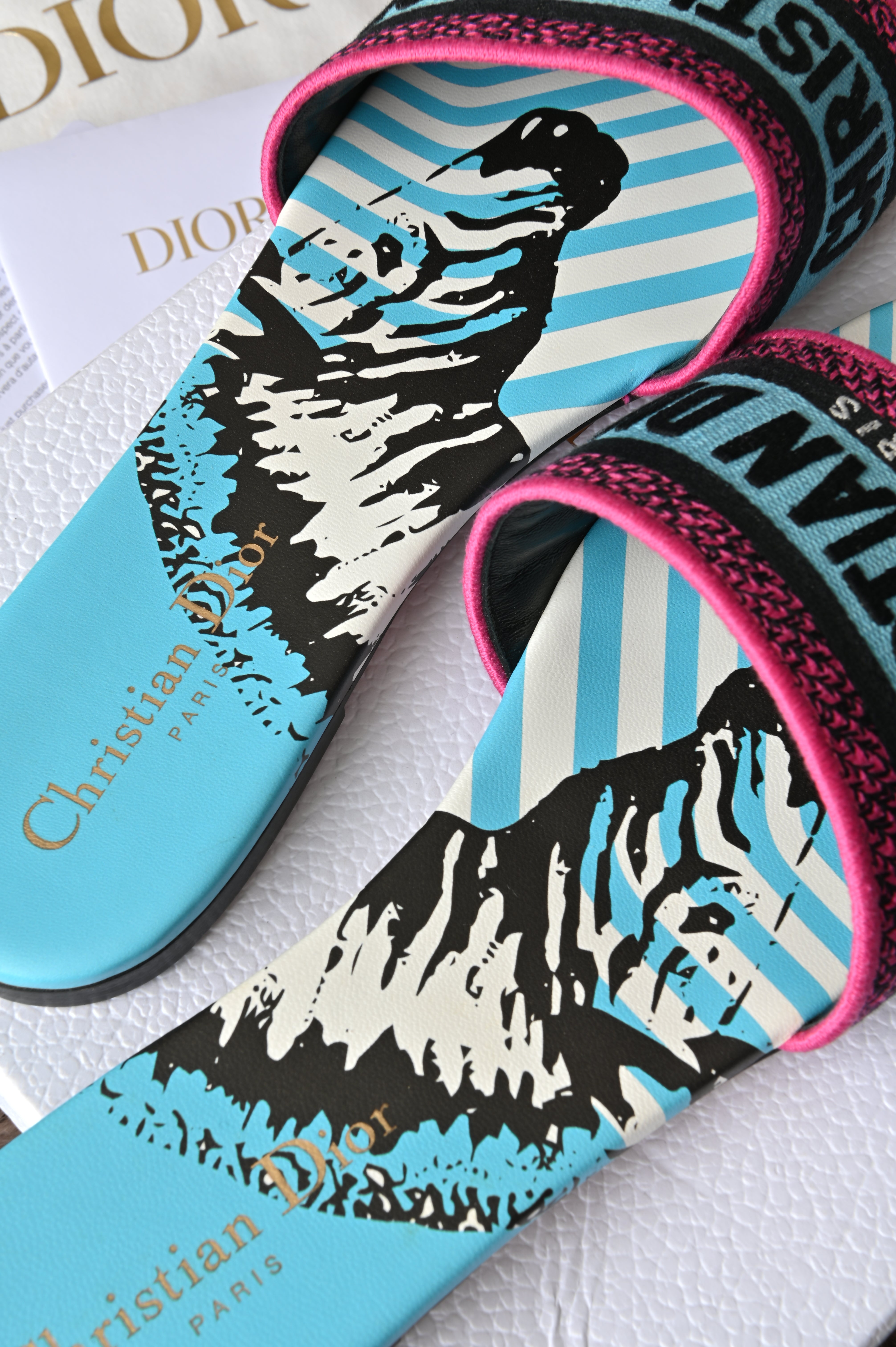 Christian Dior Embroidered Zebra slip ons