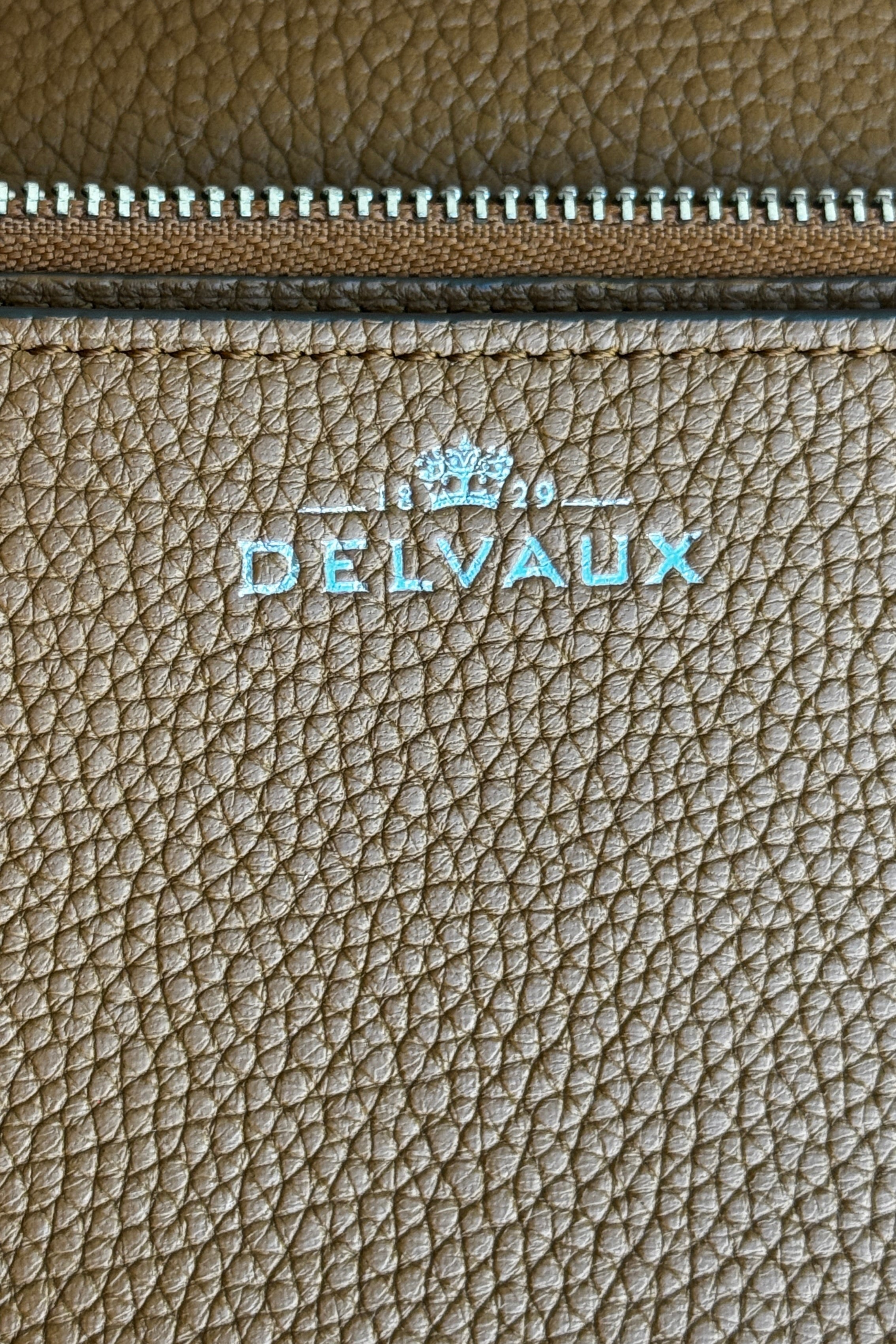Delvaux Le Mutin Brown Saddle Bag logo