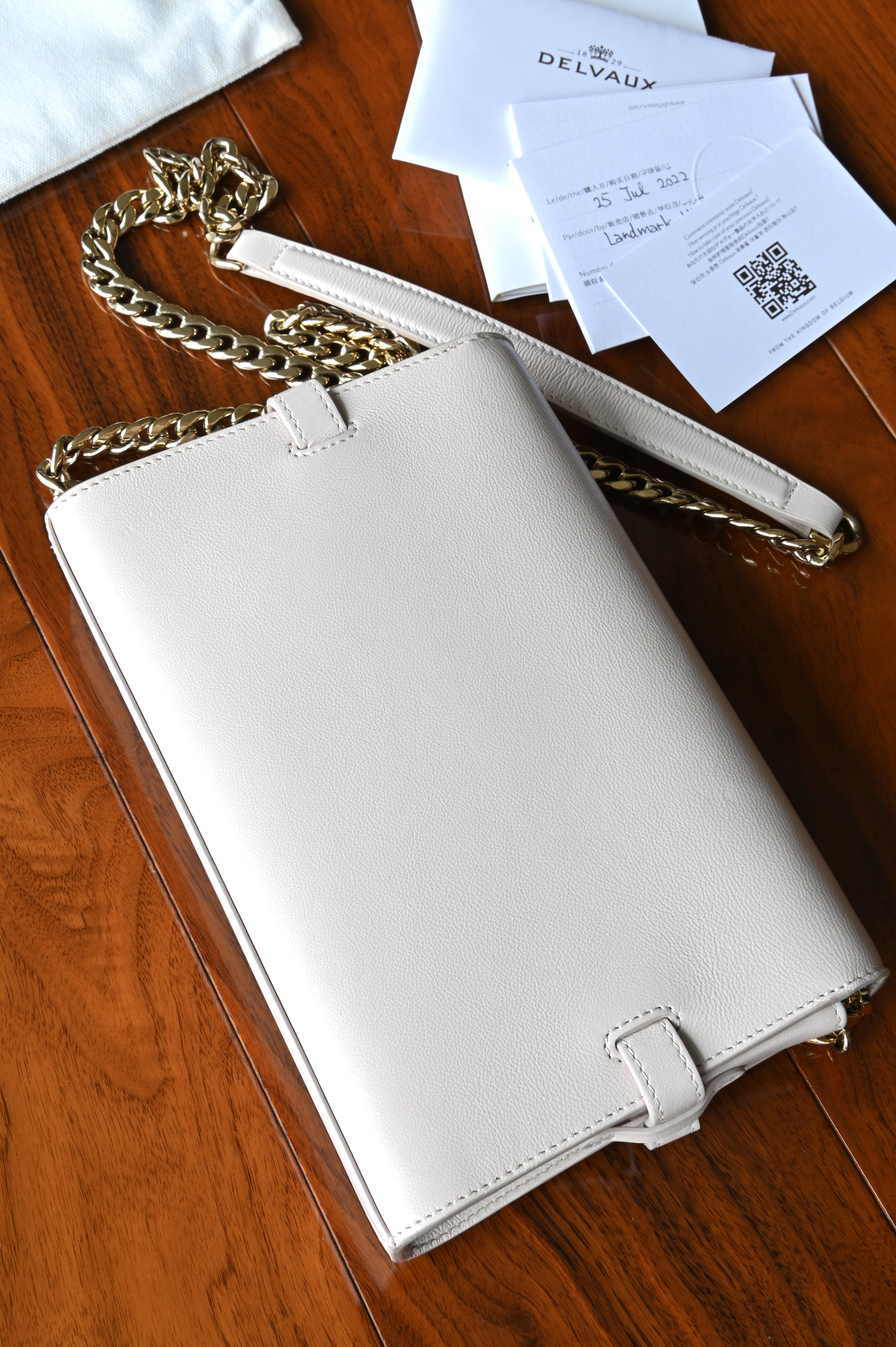 Delvaux Sesame Tempête Chain Shoulder Bag back