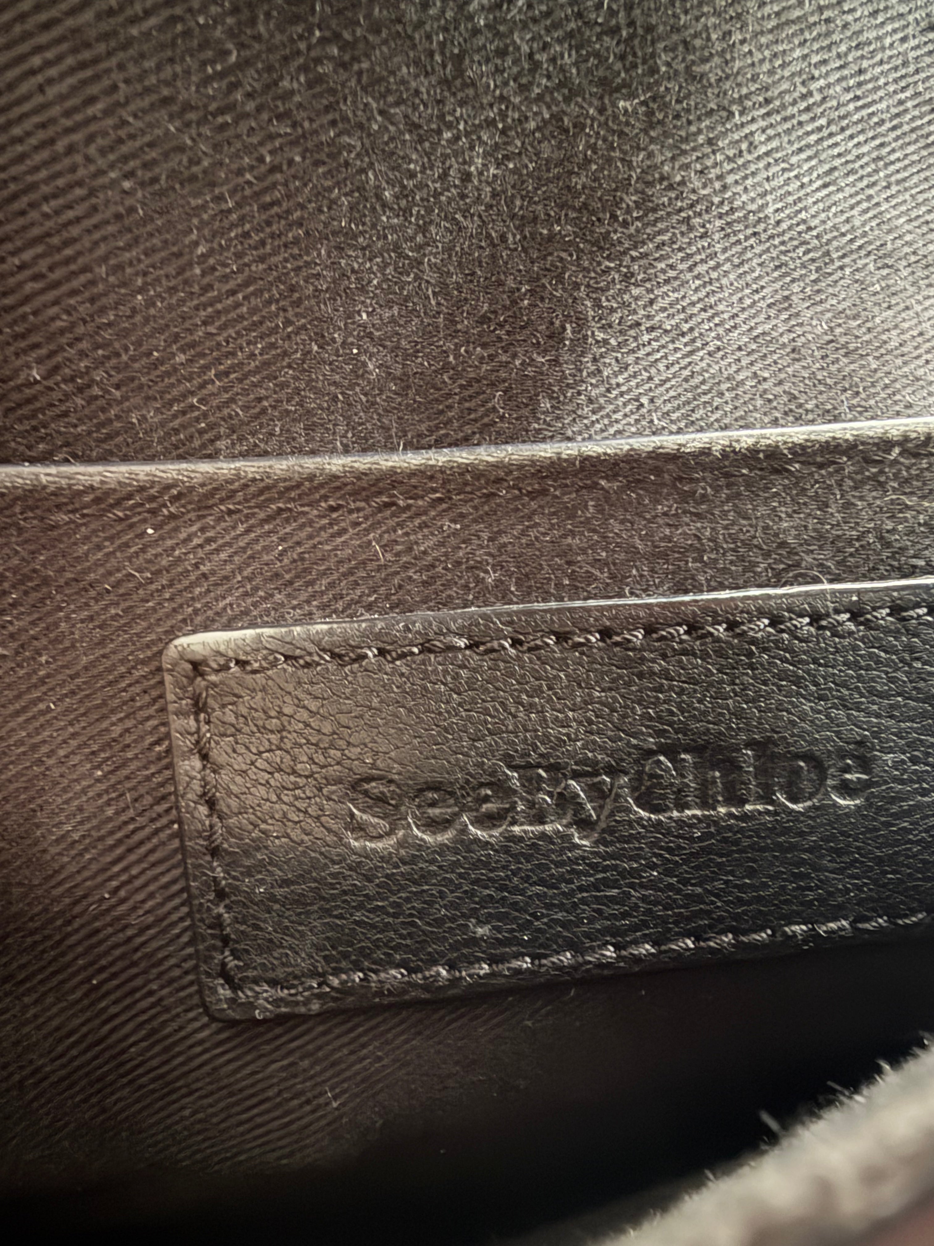 See By Chloe Mini Hana Bag in Black