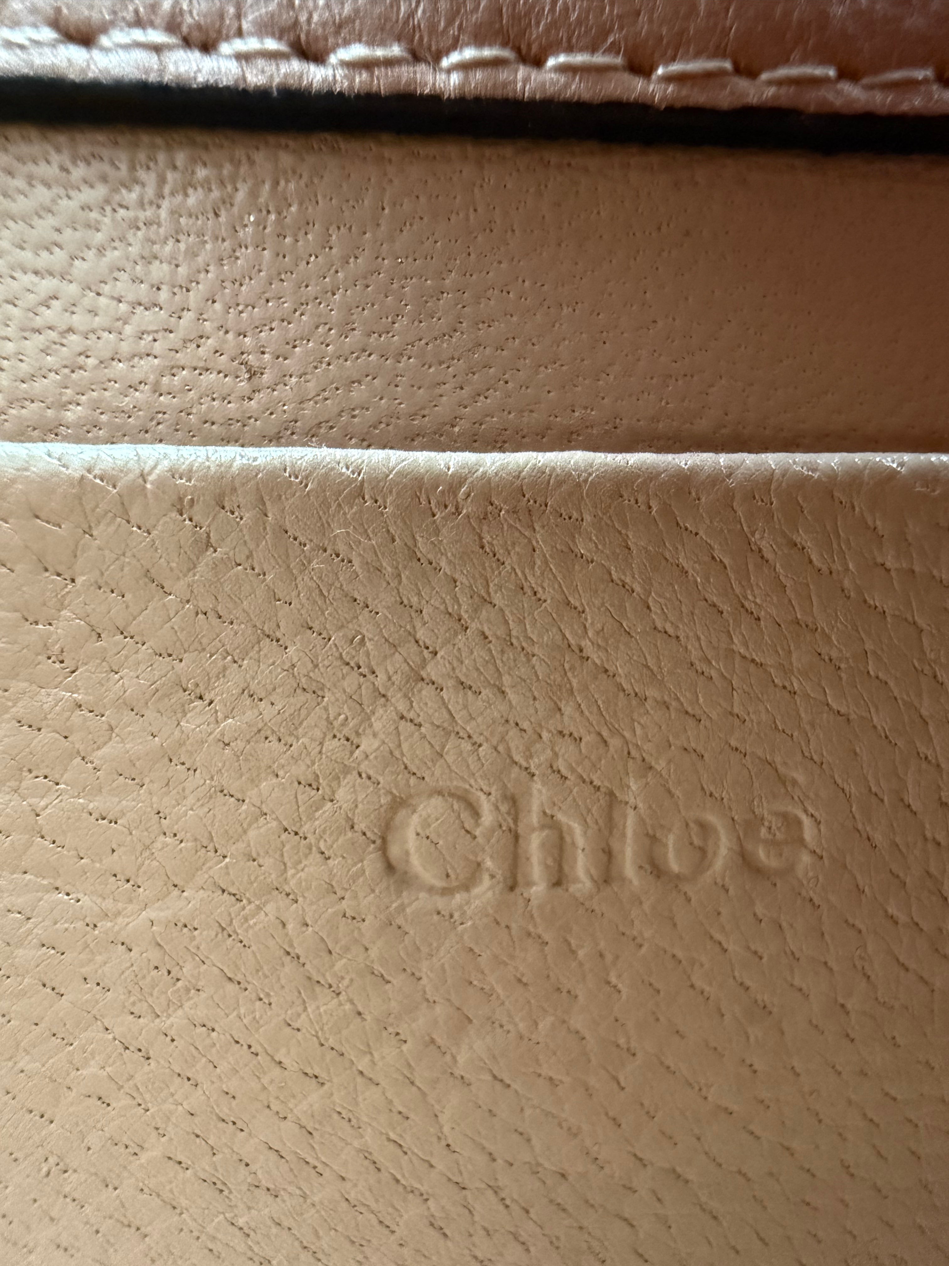 Chloe Nile Bracelet Minaudiere Bag in Biscotti Beige