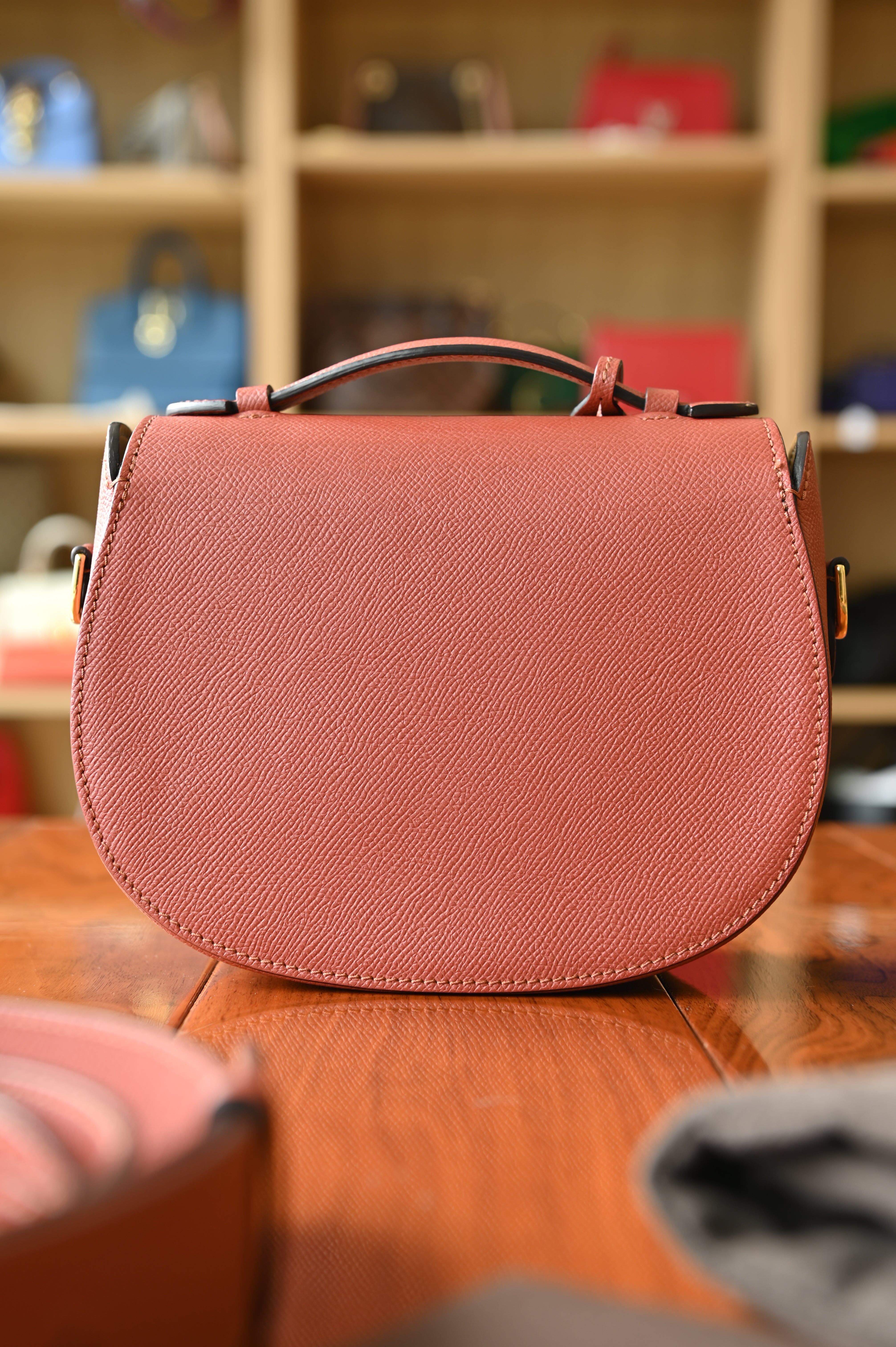 Moynat Bourbon Flori Shoulder Bag back