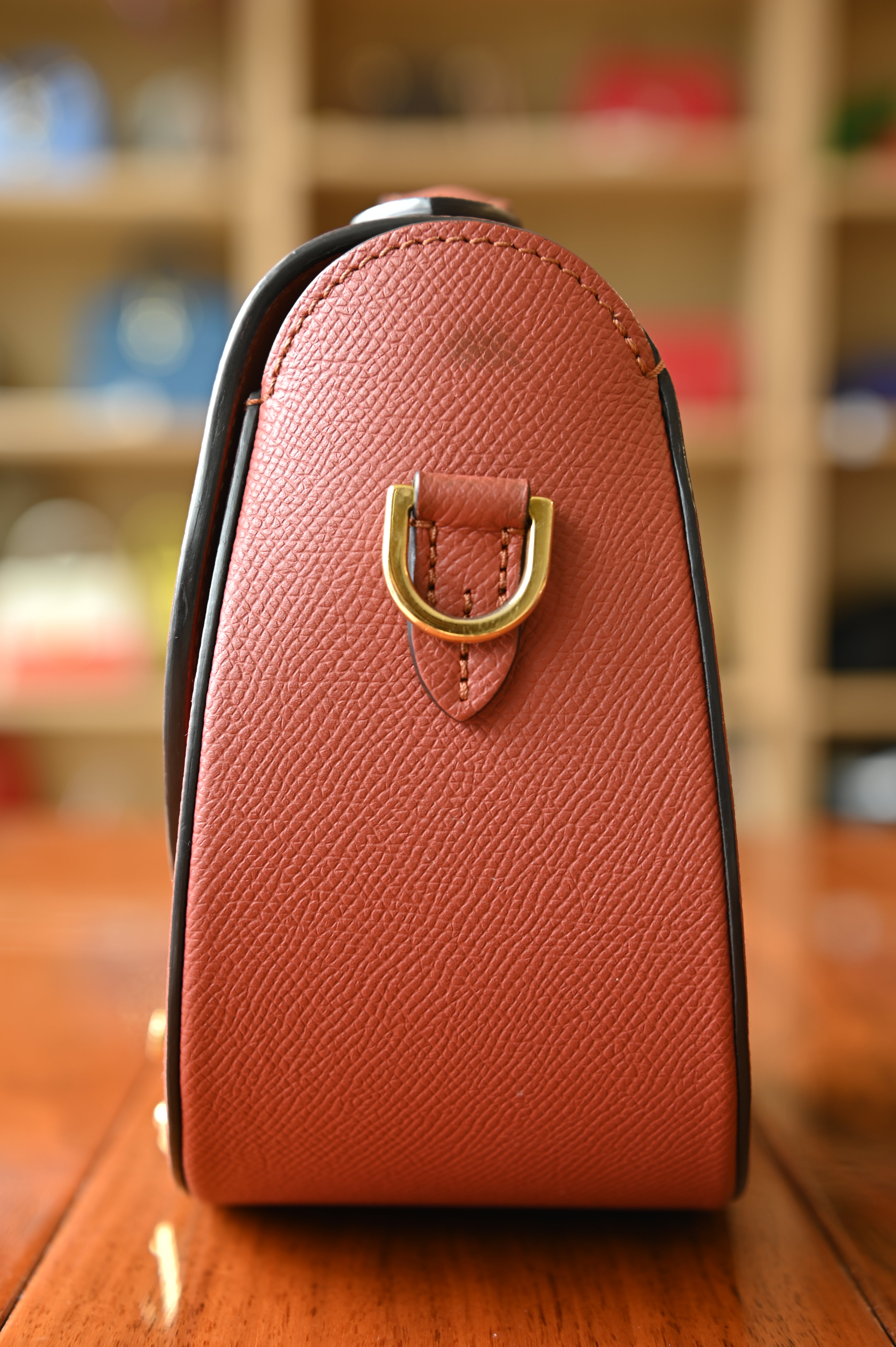Moynat Bourbon Flori Shoulder Bag side
