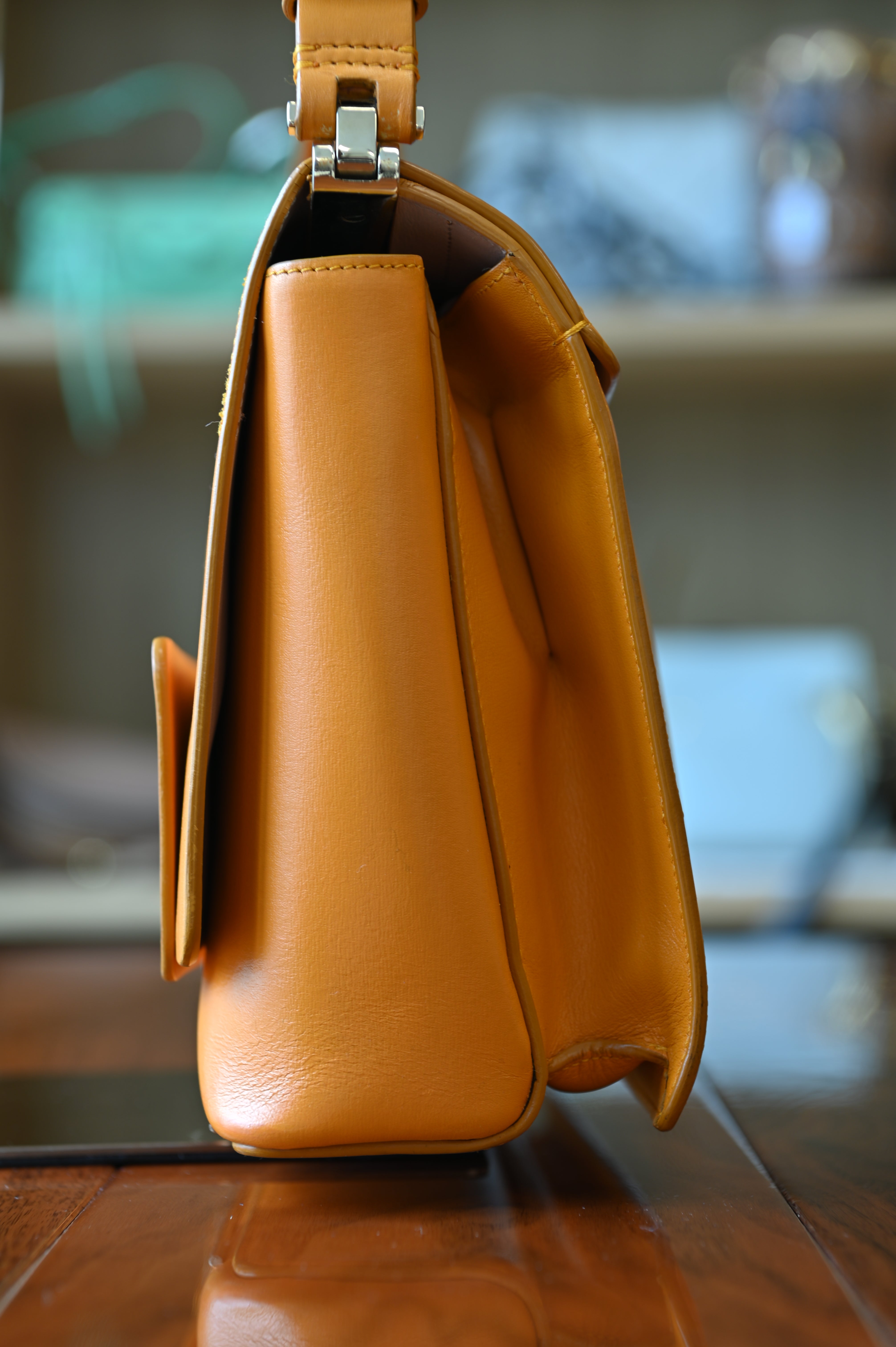 Roger Viver Turmeric Shoulder Bag side