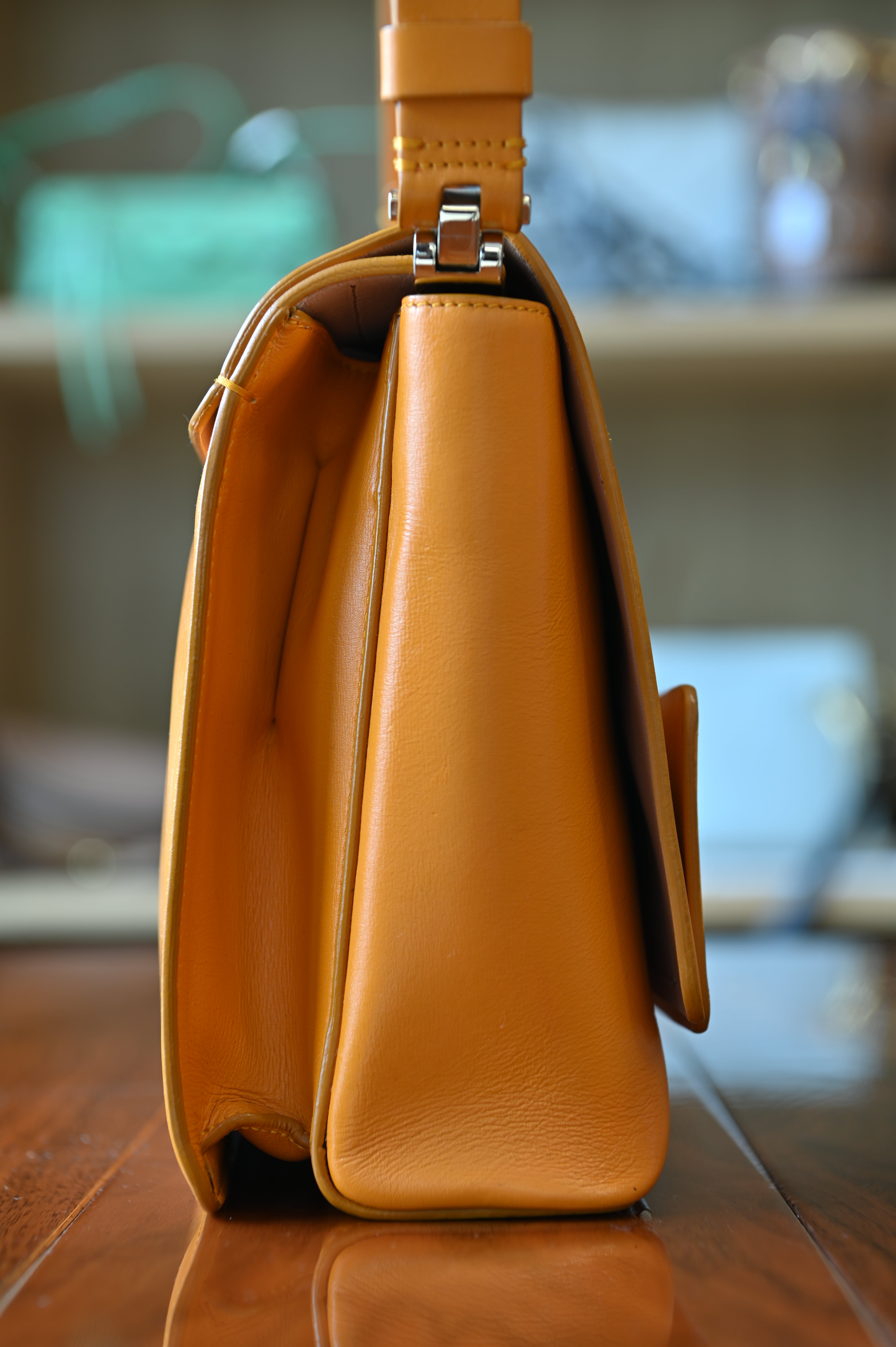 Roger Viver Turmeric Shoulder Bag side two