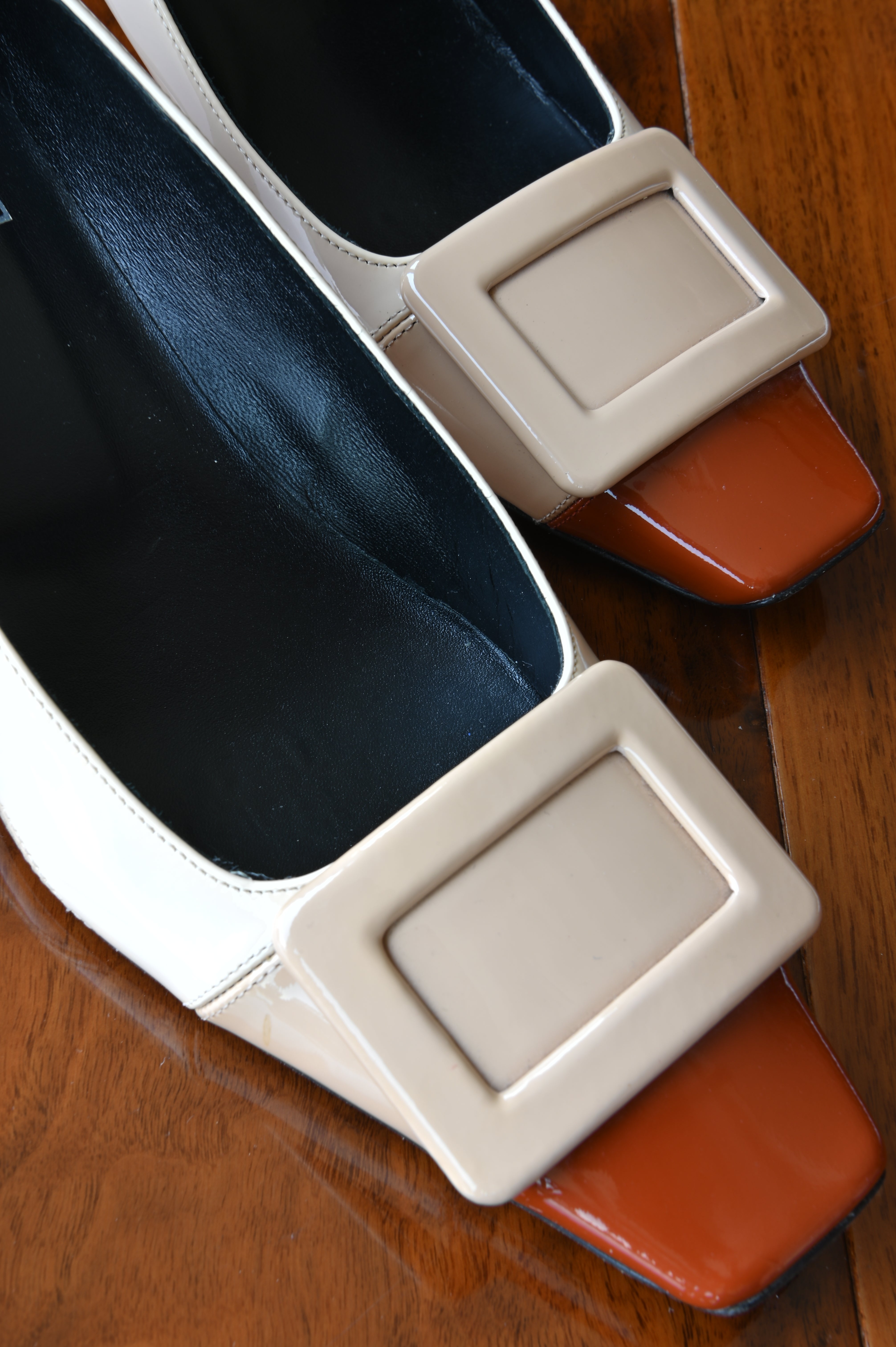 Roger Vivier Tricolor Buckle Pumps buckle