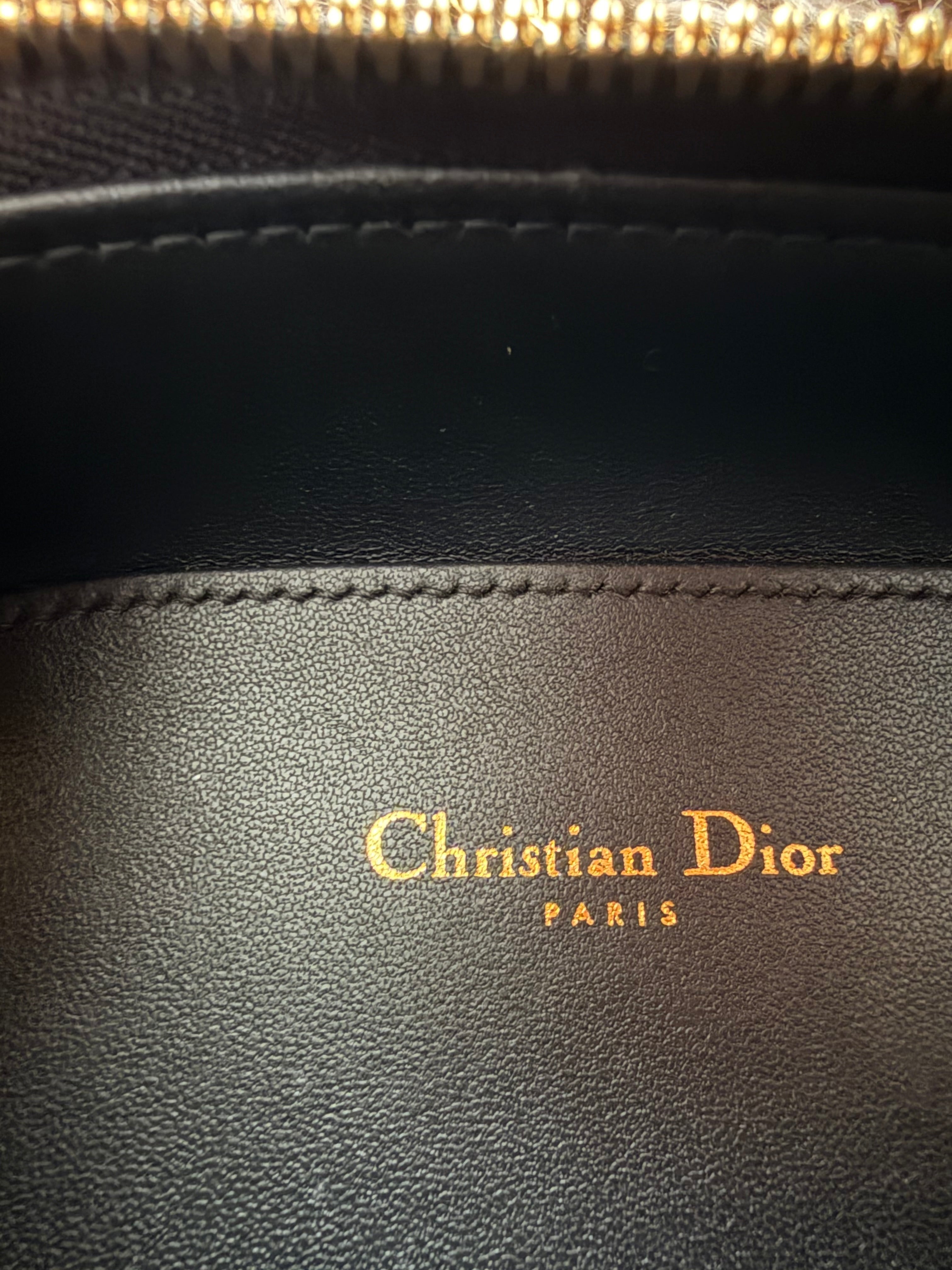 Dior CD Signature Oval Camera Bag