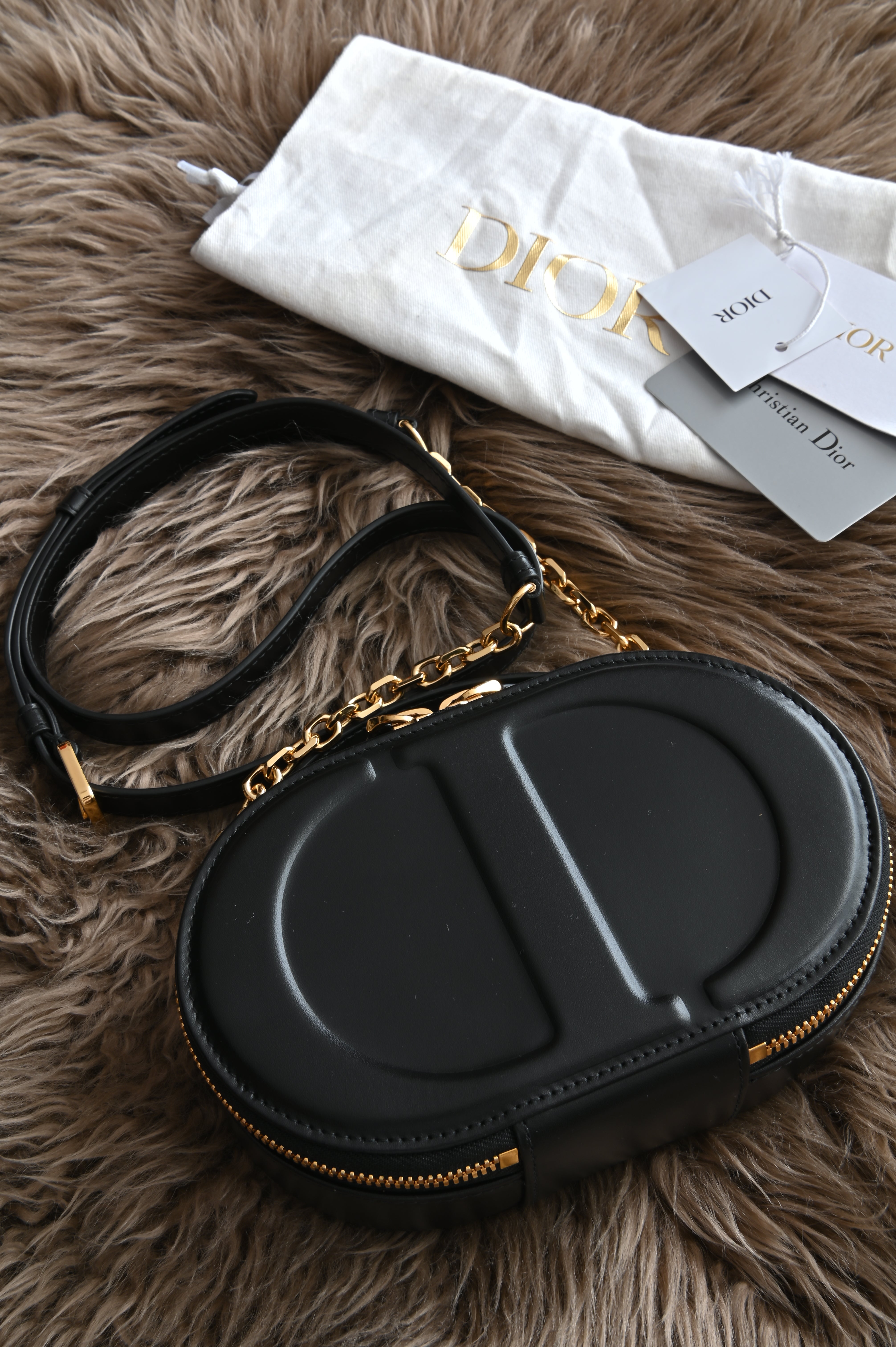 Dior CD Signature Oval Camera Bag