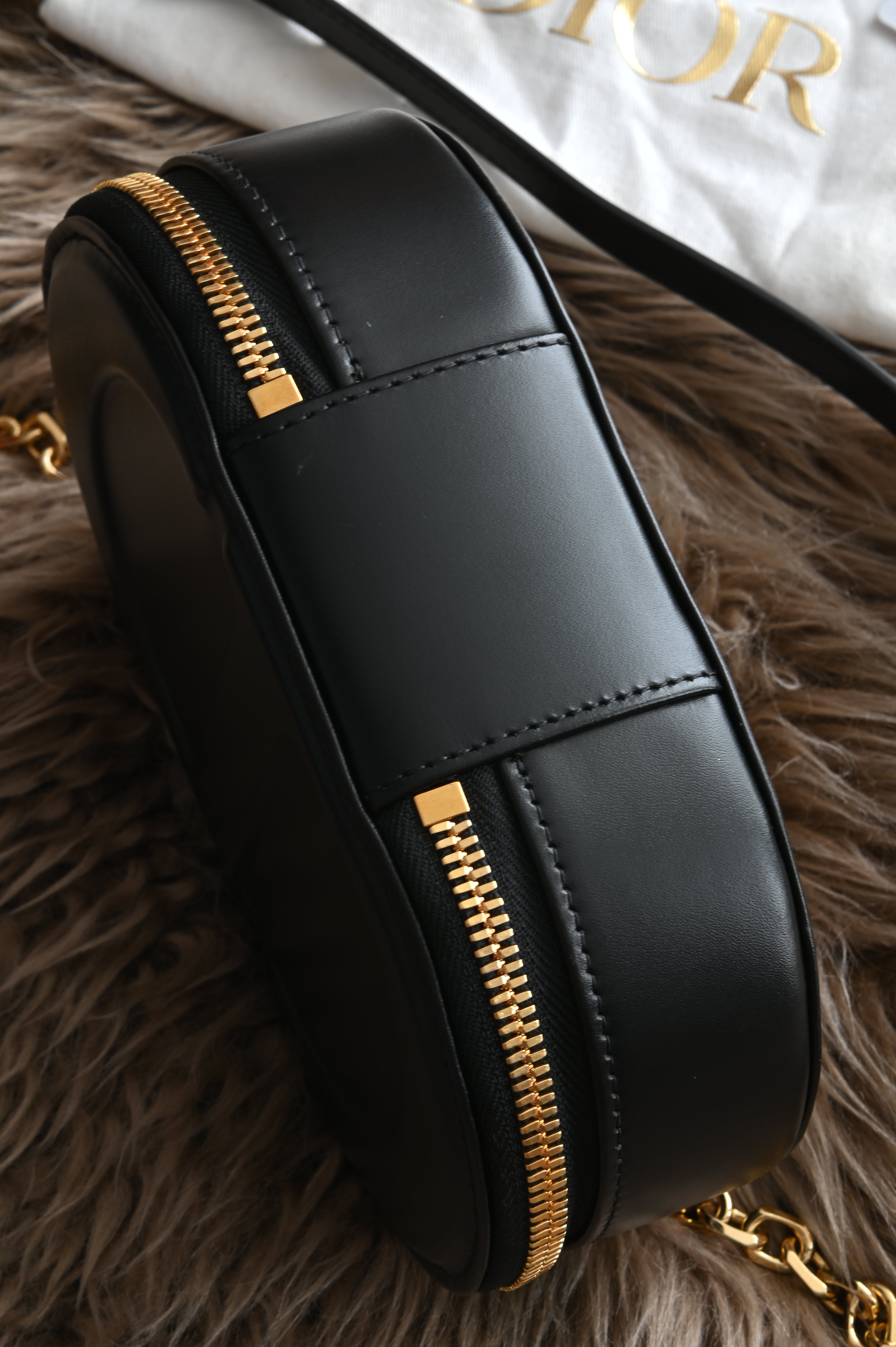 Dior CD Signature Oval Camera Bag