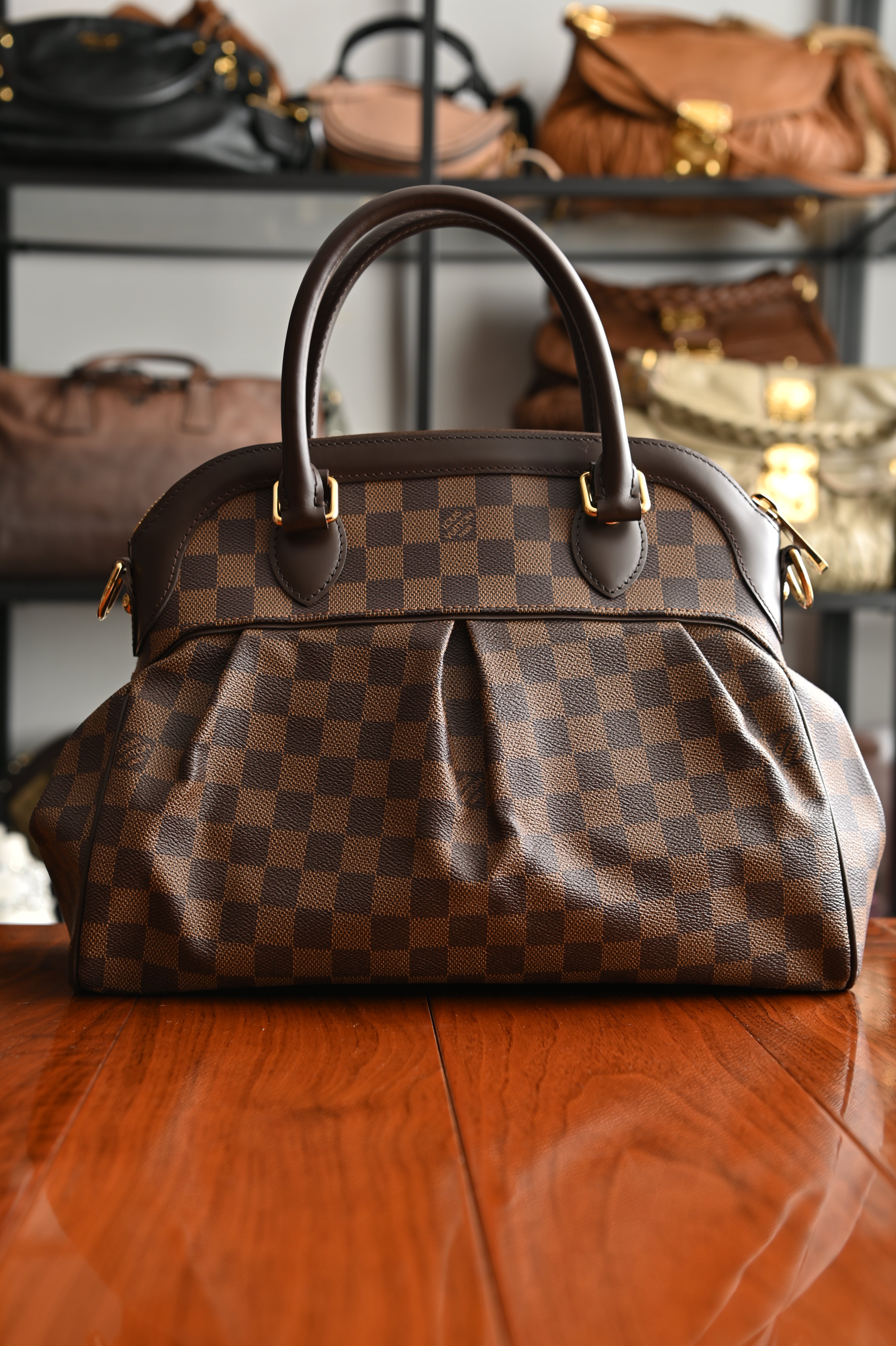 Louis Vuitton Damier Ebene Trevi PM bag