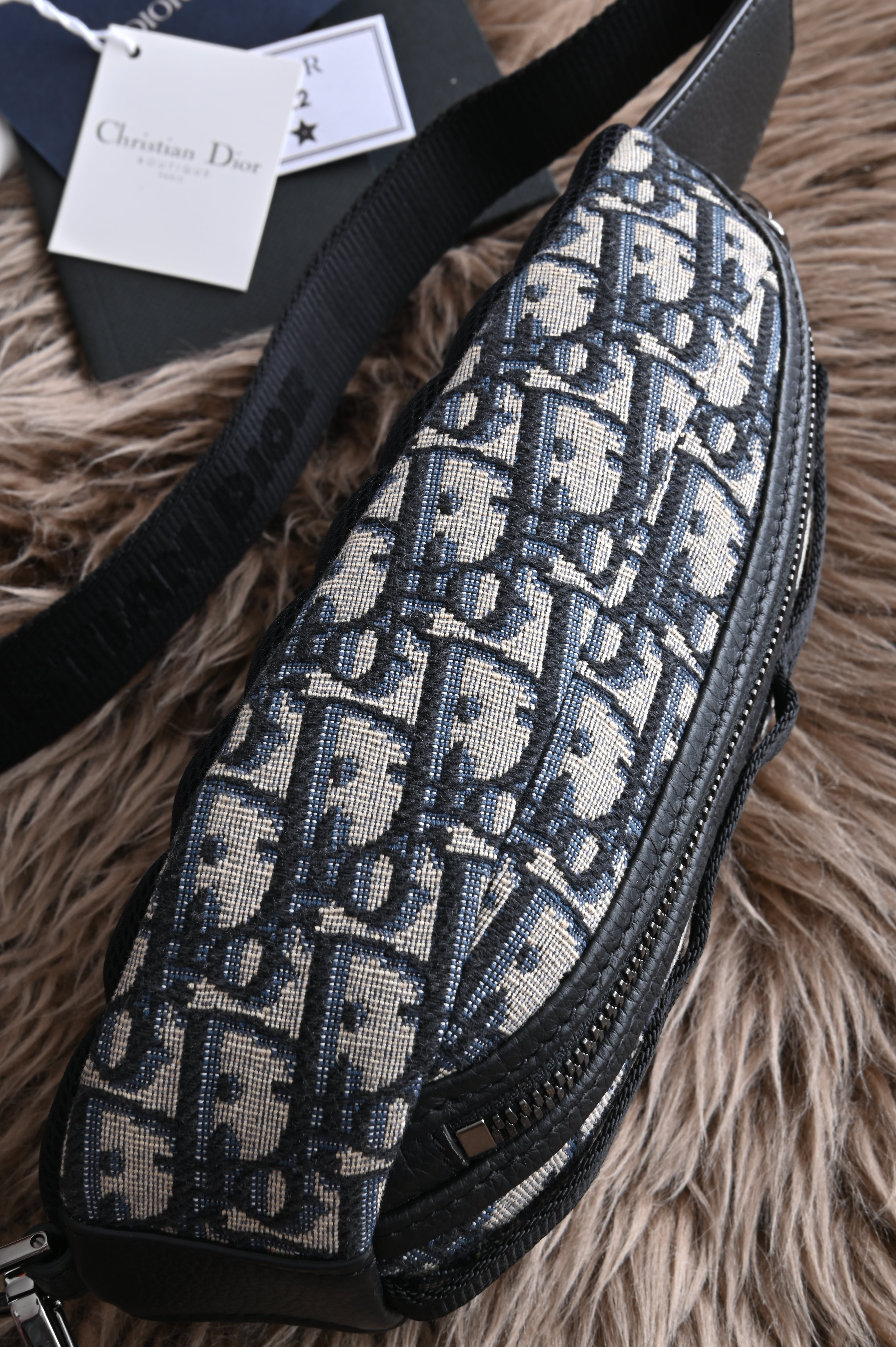 Dior Scarab Oblique Body Bag