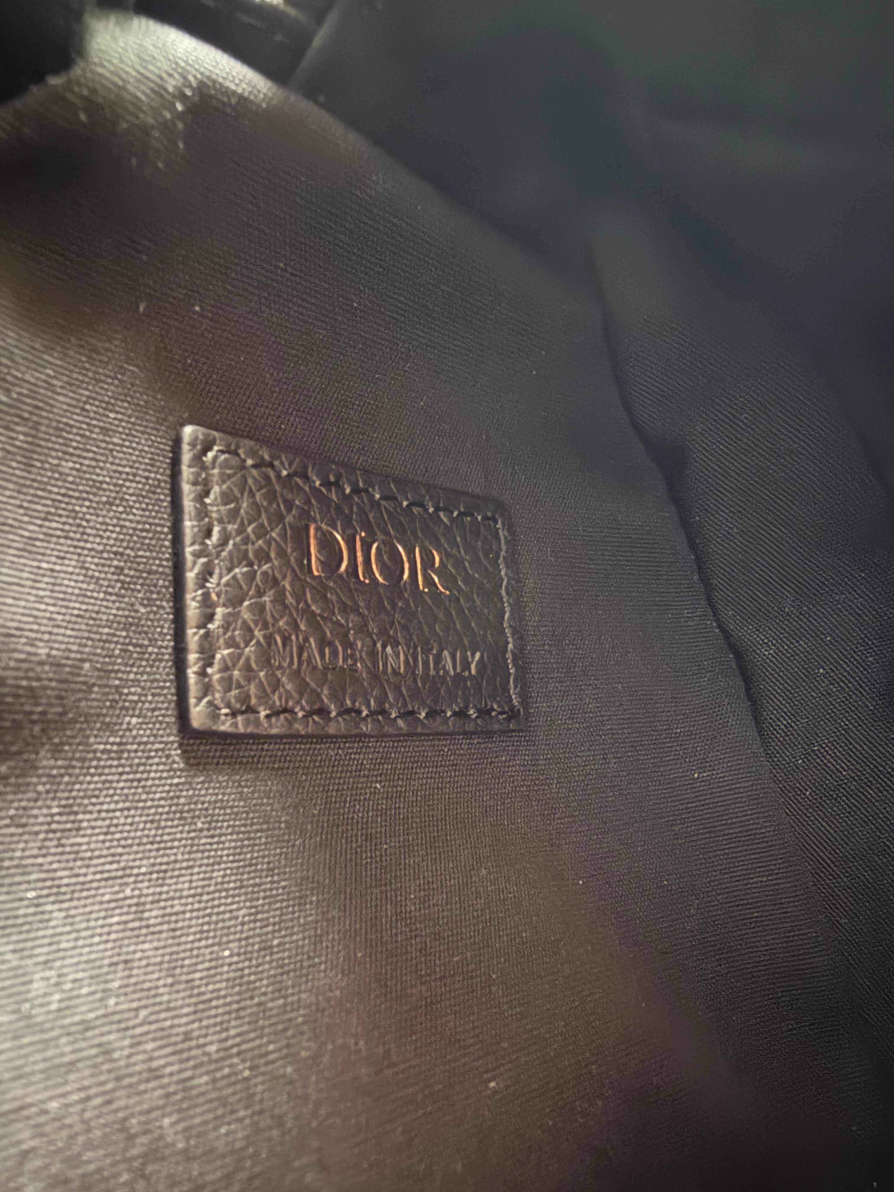 Dior Scarab Oblique Body Bag