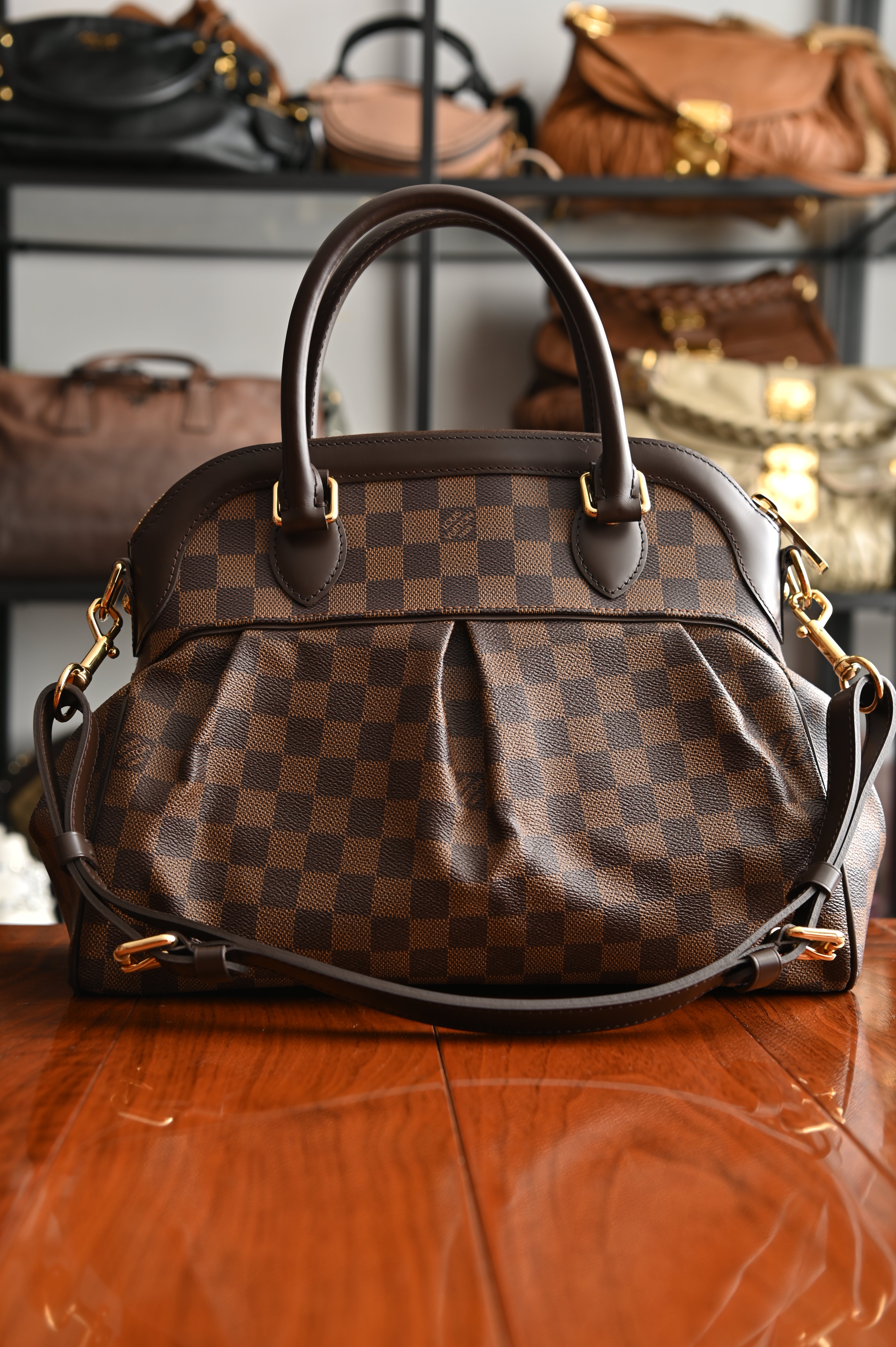 Louis Vuitton Damier Ebene Trevi PM bag