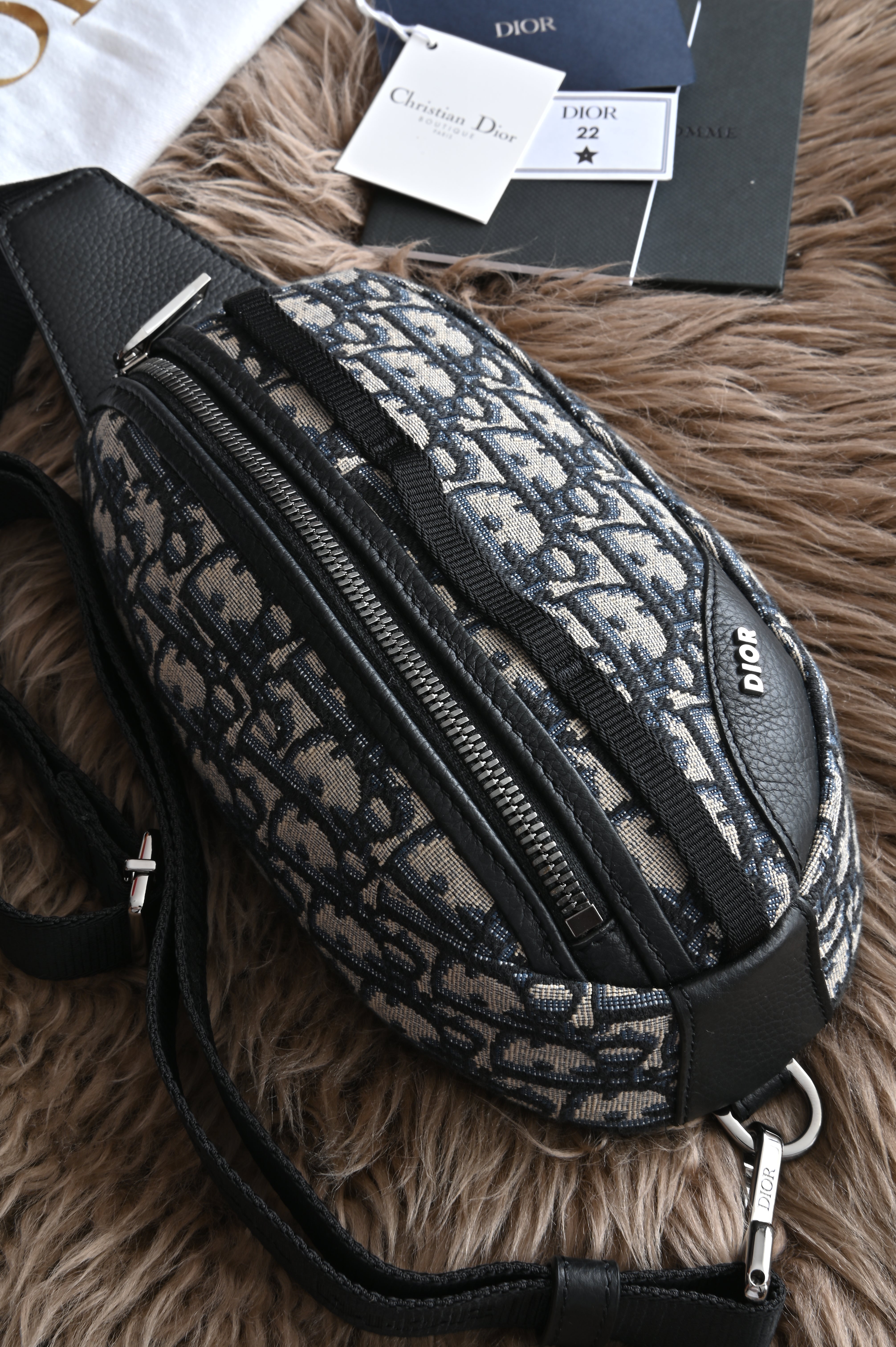 Dior Scarab Oblique Body Bag