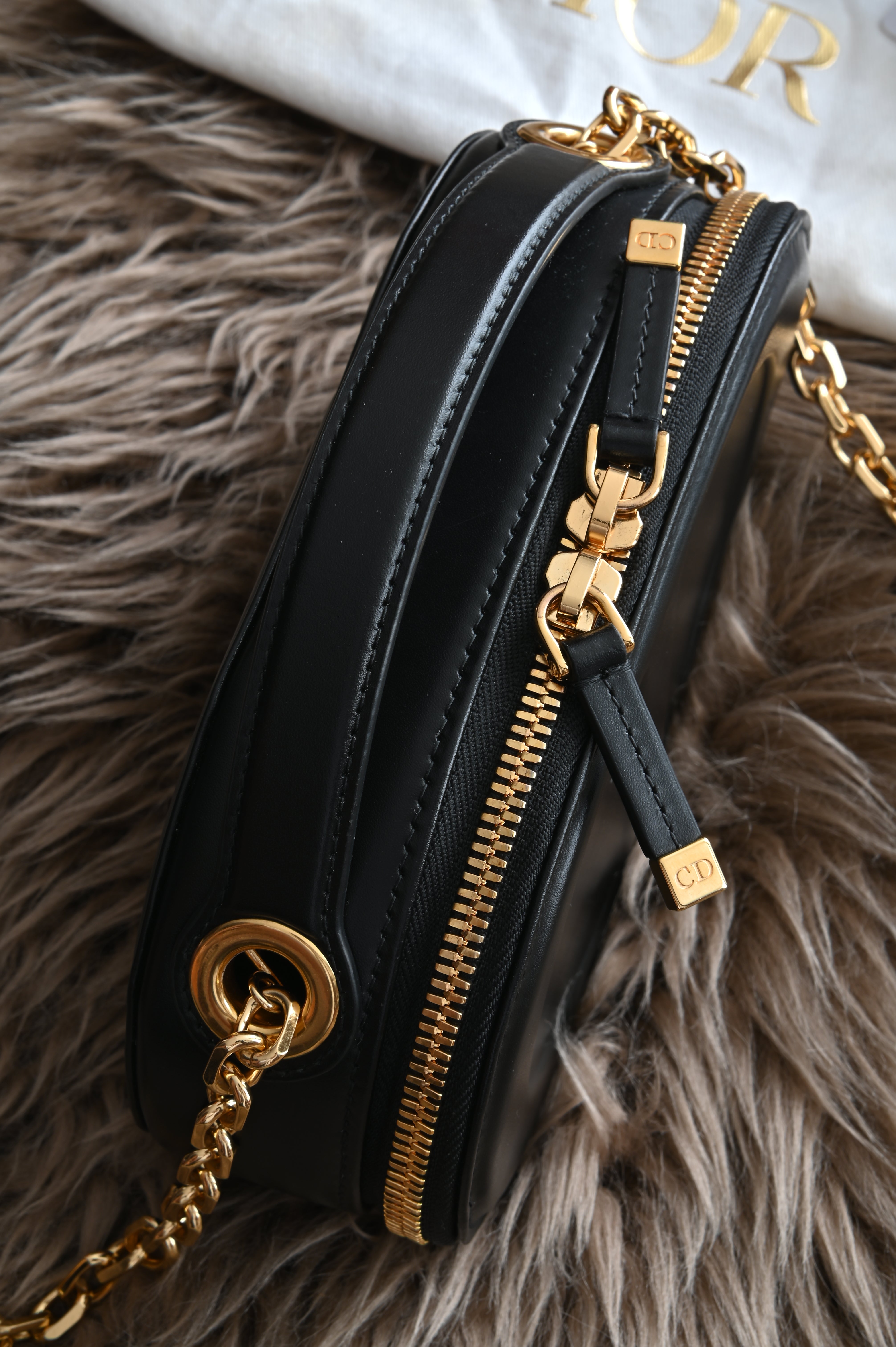 Dior CD Signature Oval Camera Bag