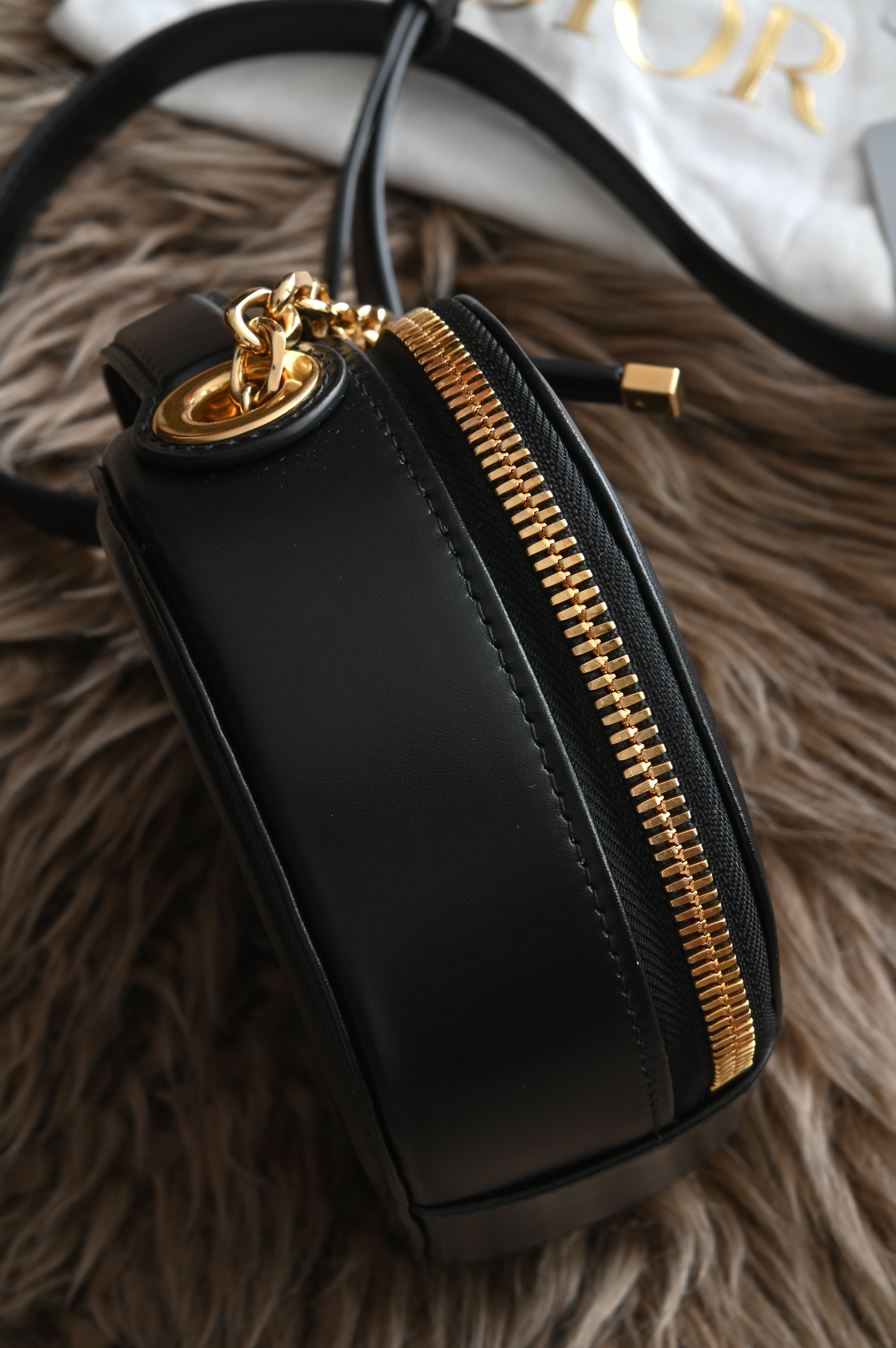 Dior CD Signature Oval Camera Bag