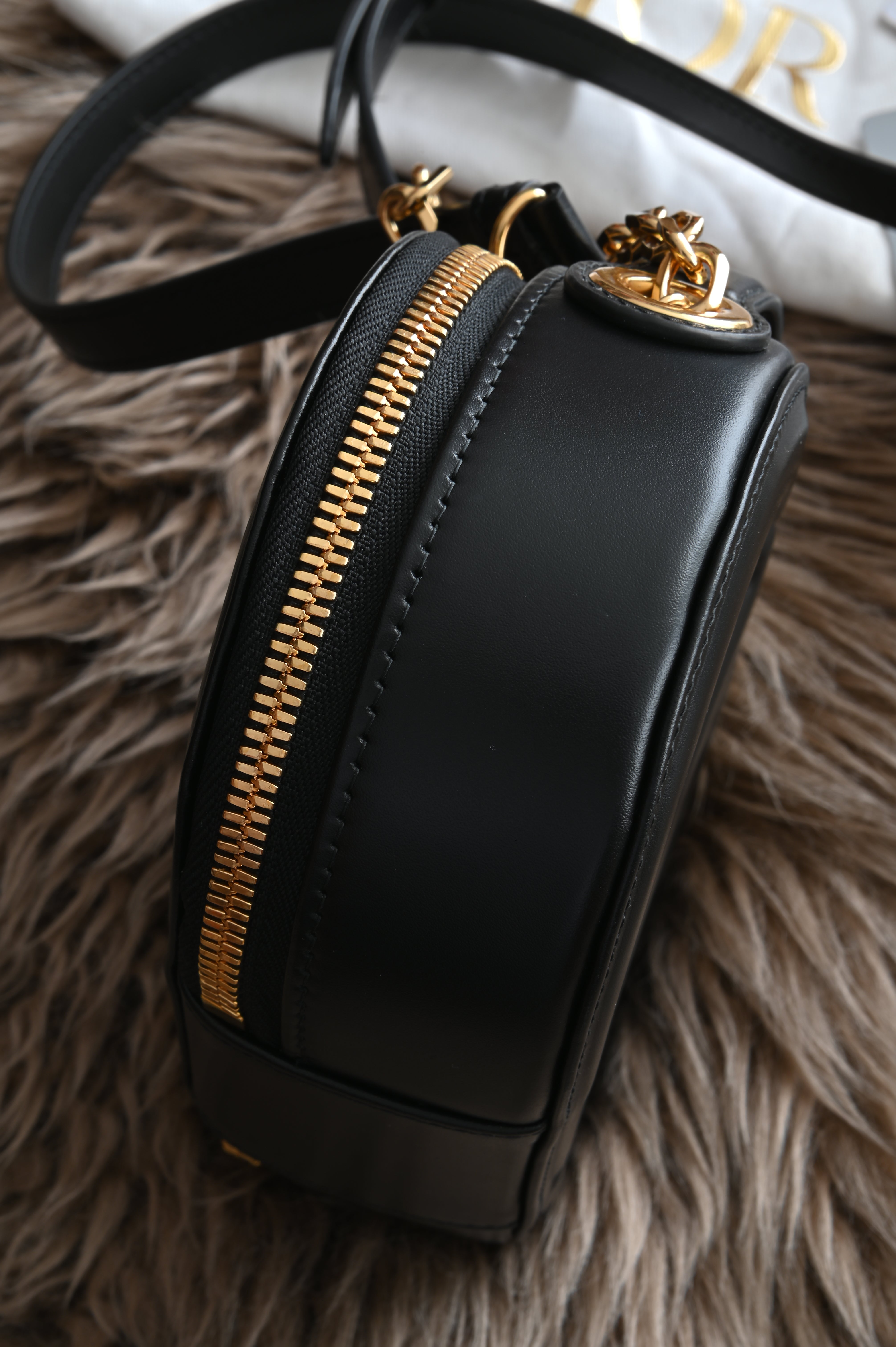 Dior CD Signature Oval Camera Bag