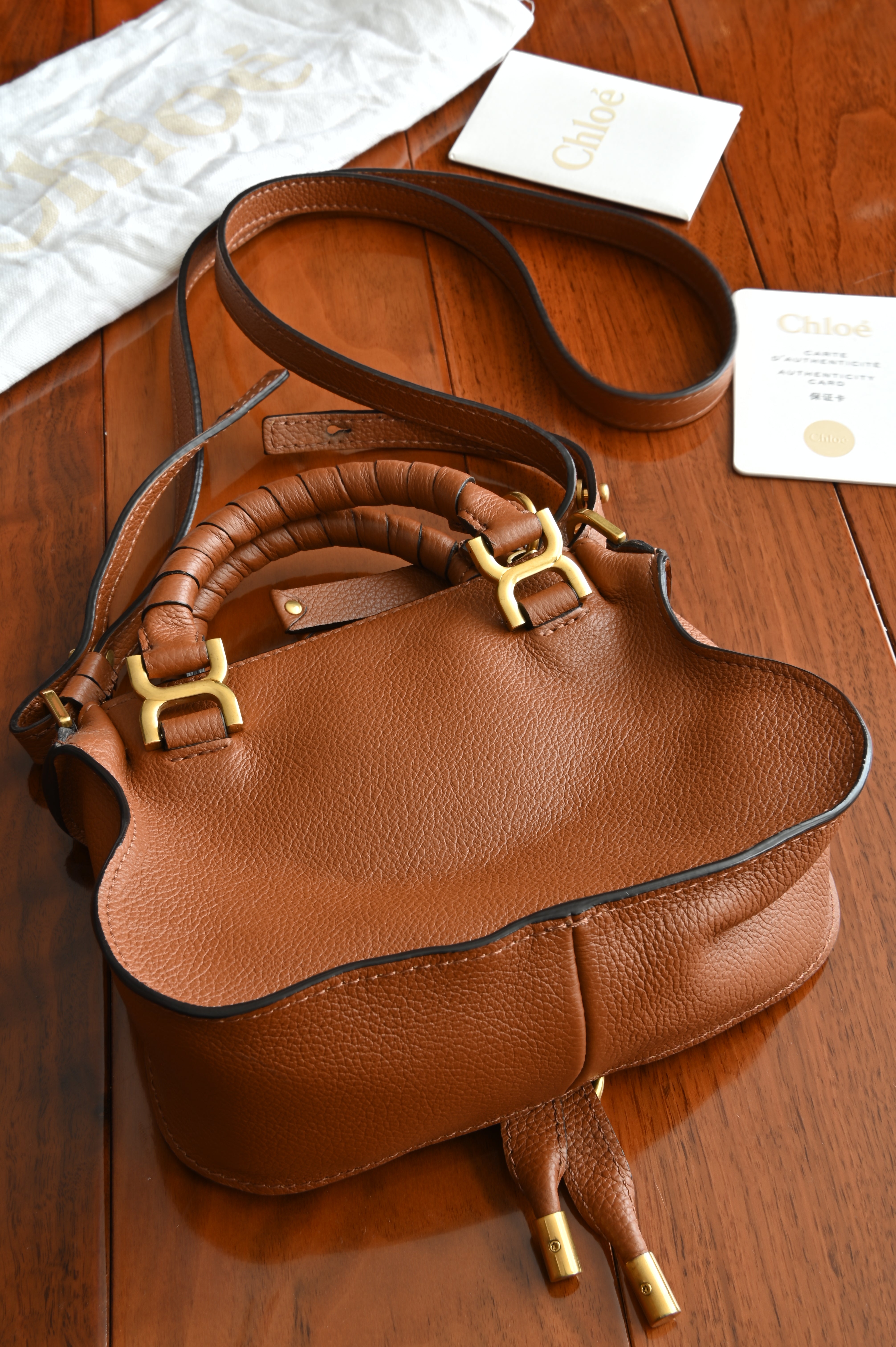Chloé Brown Mini Marcie Cross Body Bag back
