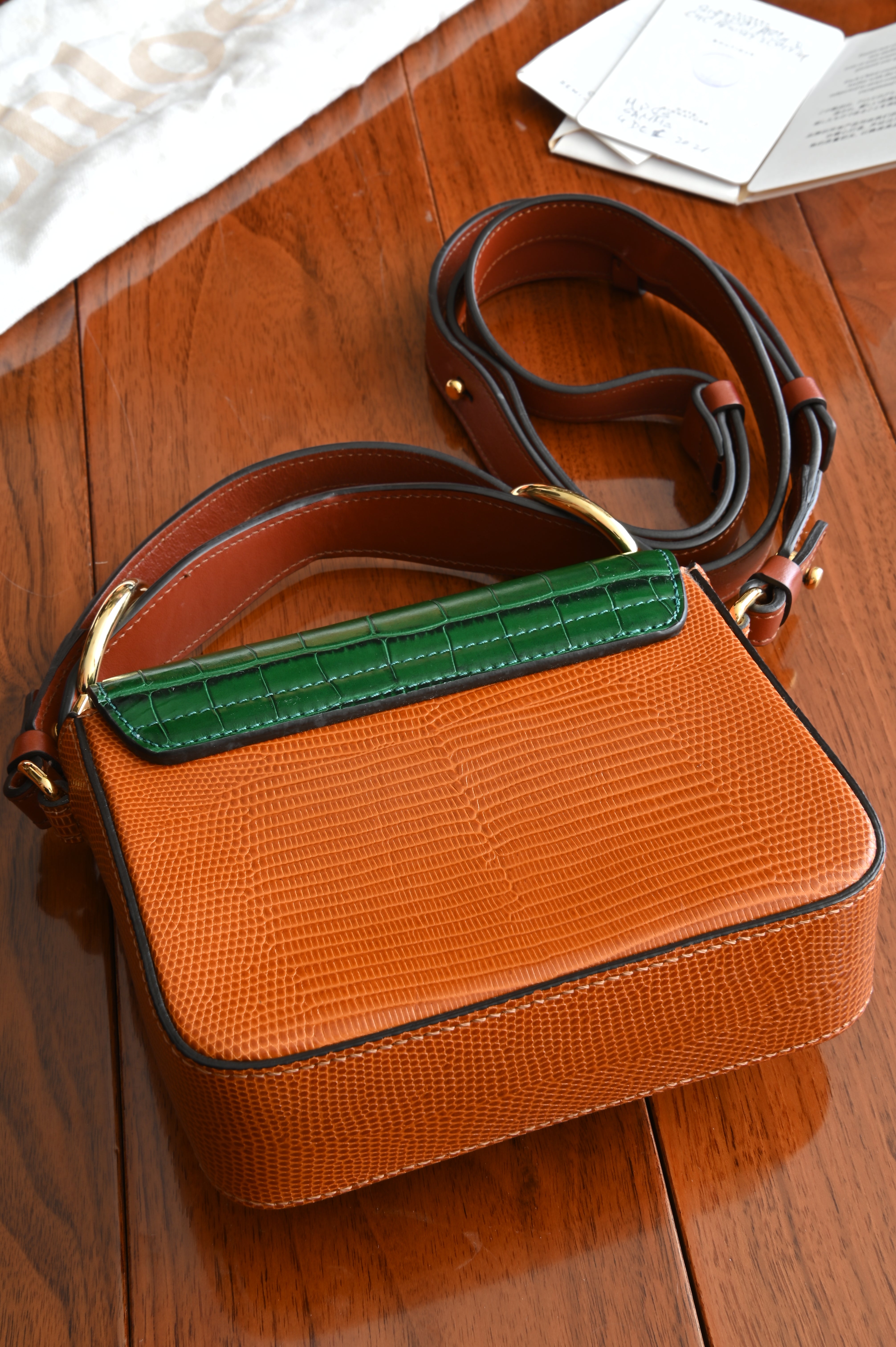 Chloe C Croc Lizard Emboss Mini Leather Bag back