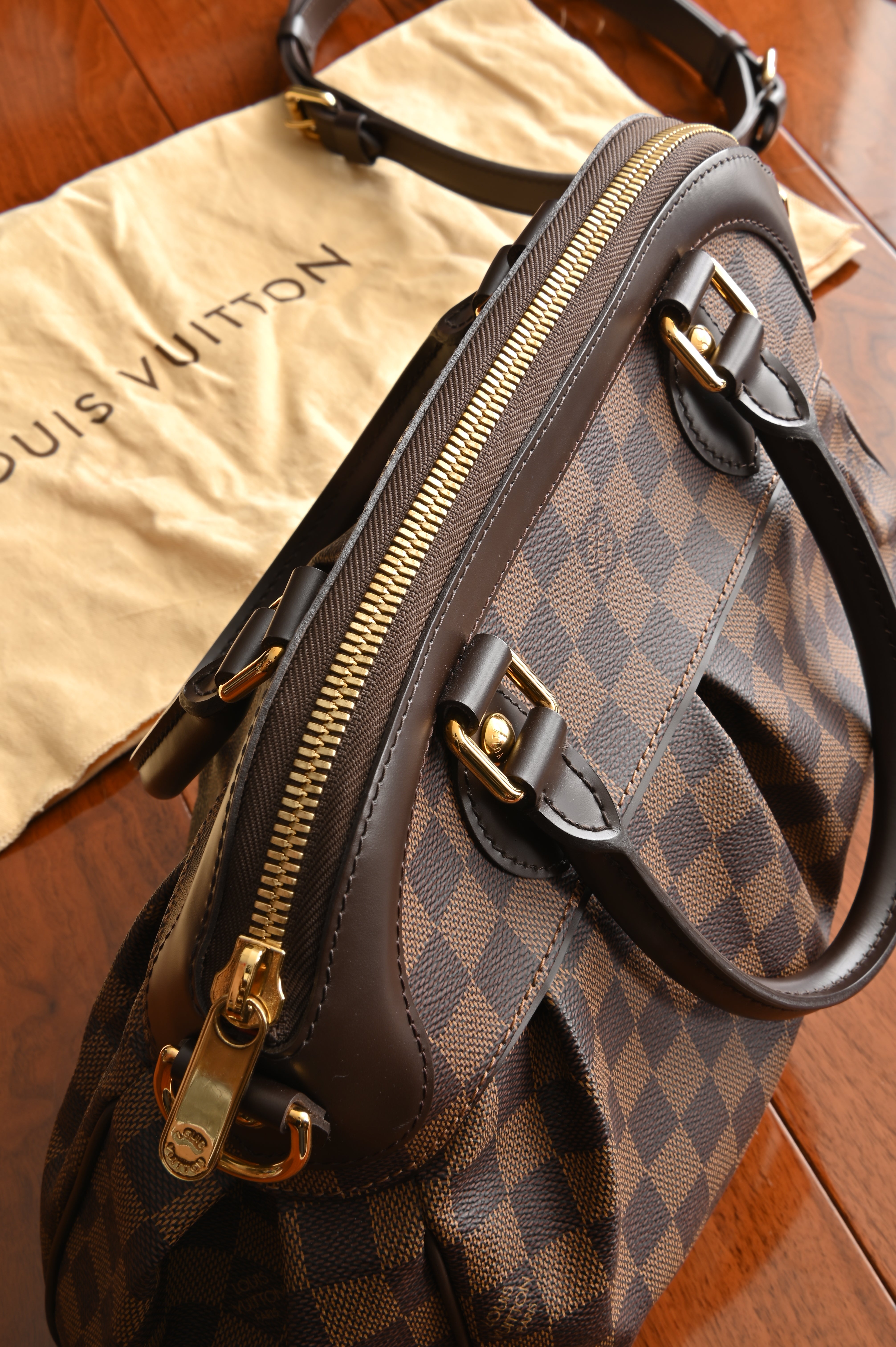 Louis Vuitton Damier Ebene Trevi PM bag