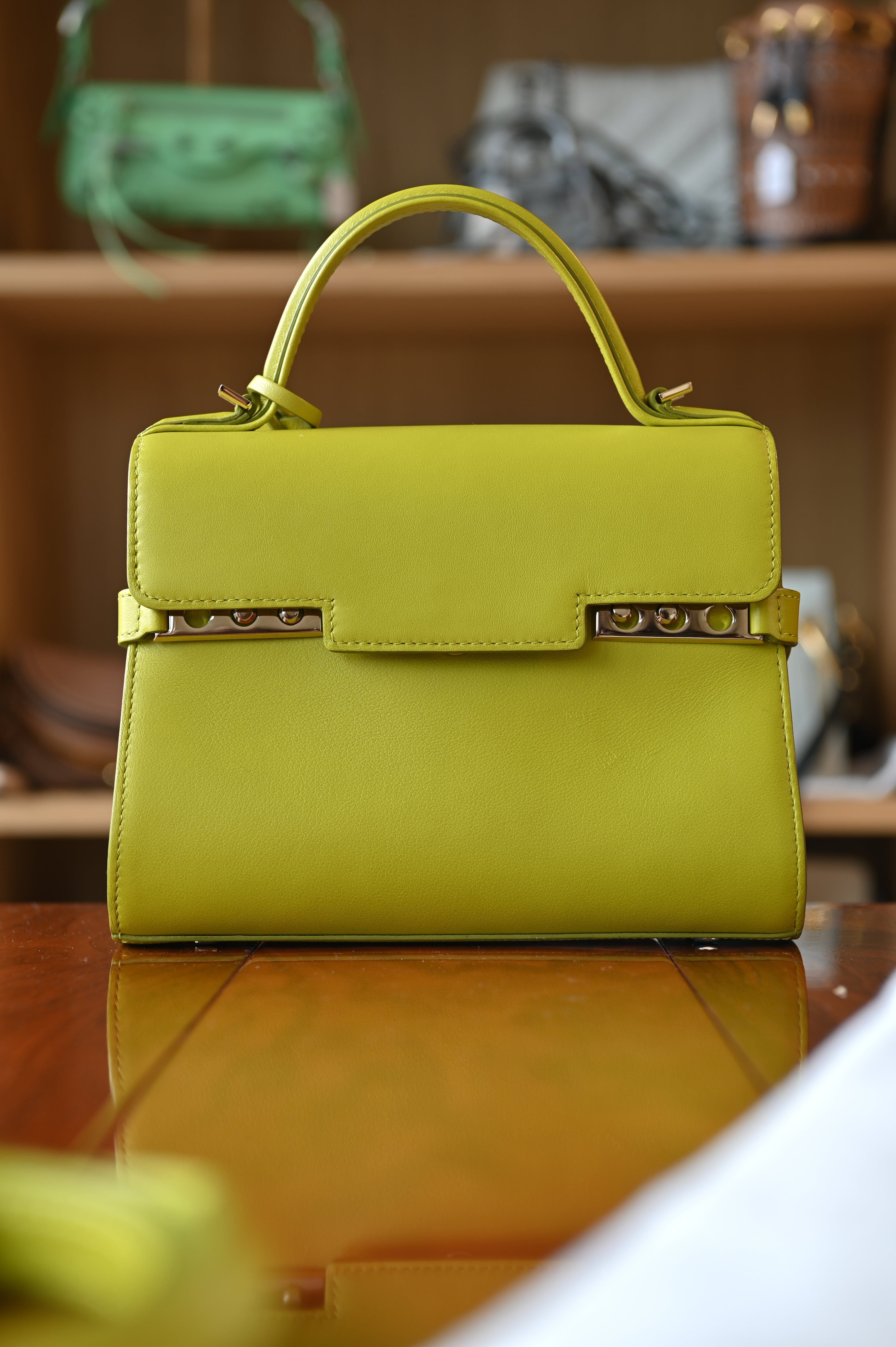 Delvaux Light Green Tempête PM Bag