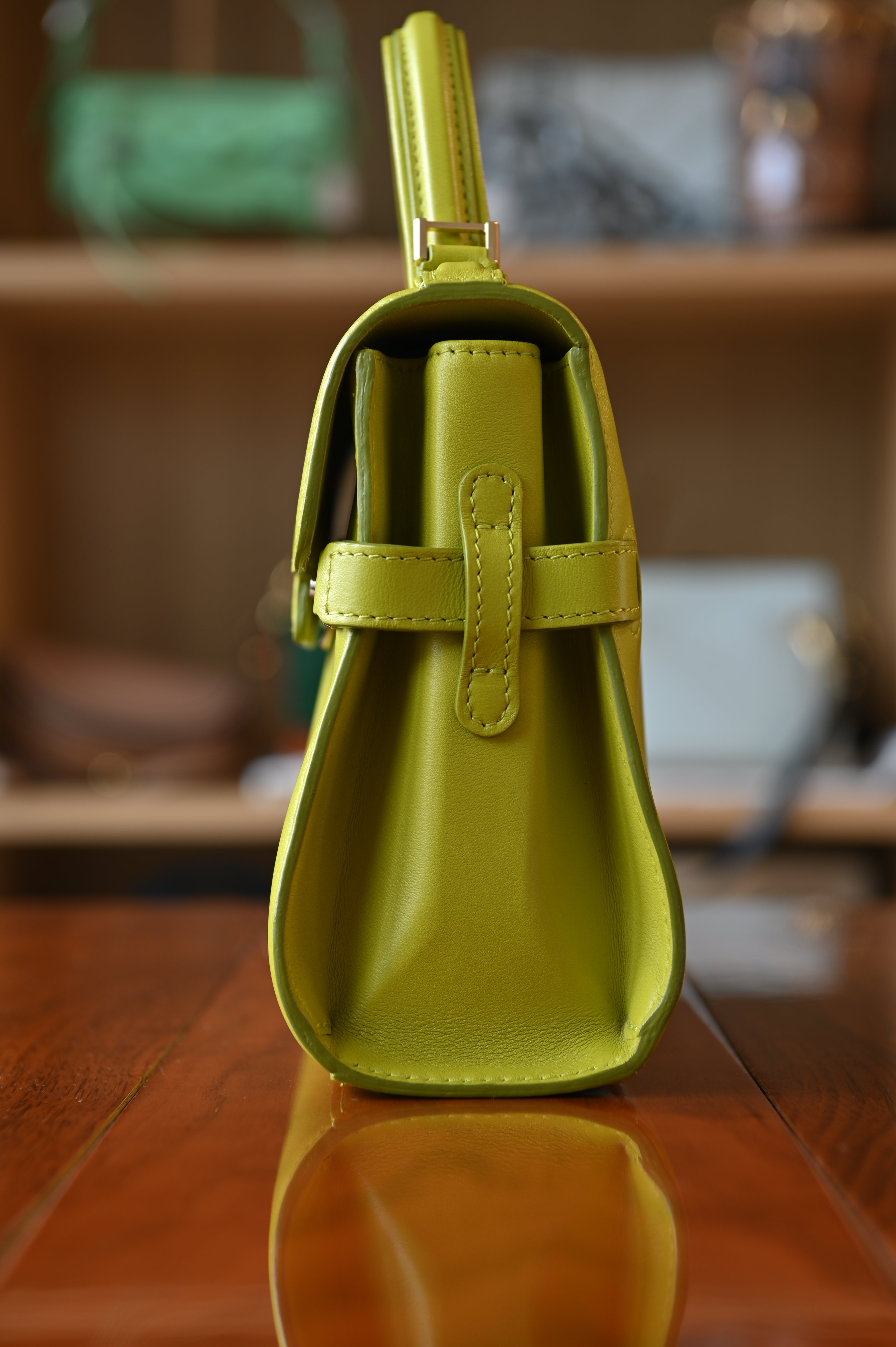 Delvaux Light Green Tempête PM Bag