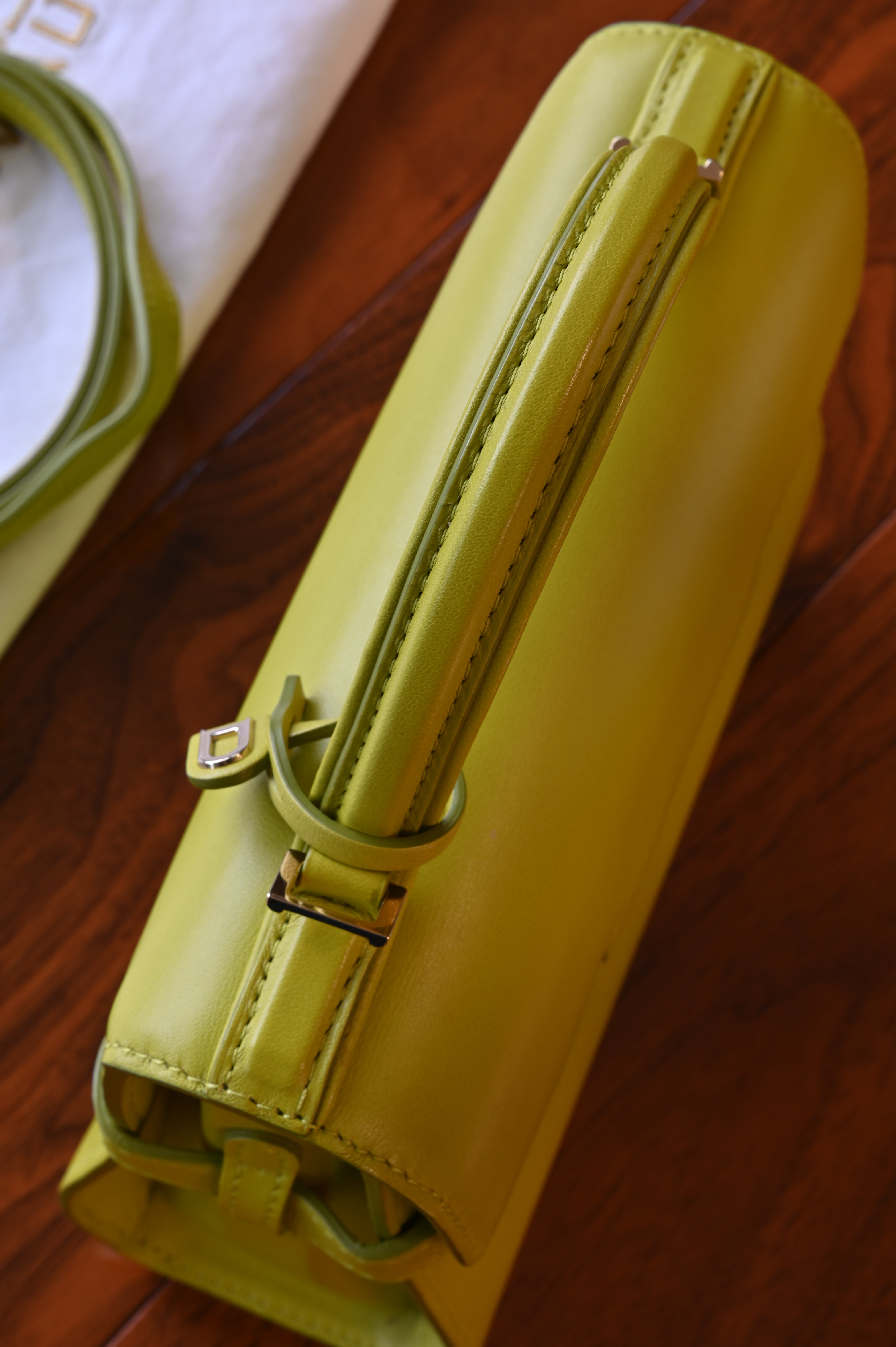 Delvaux Light Green Tempête PM Bag