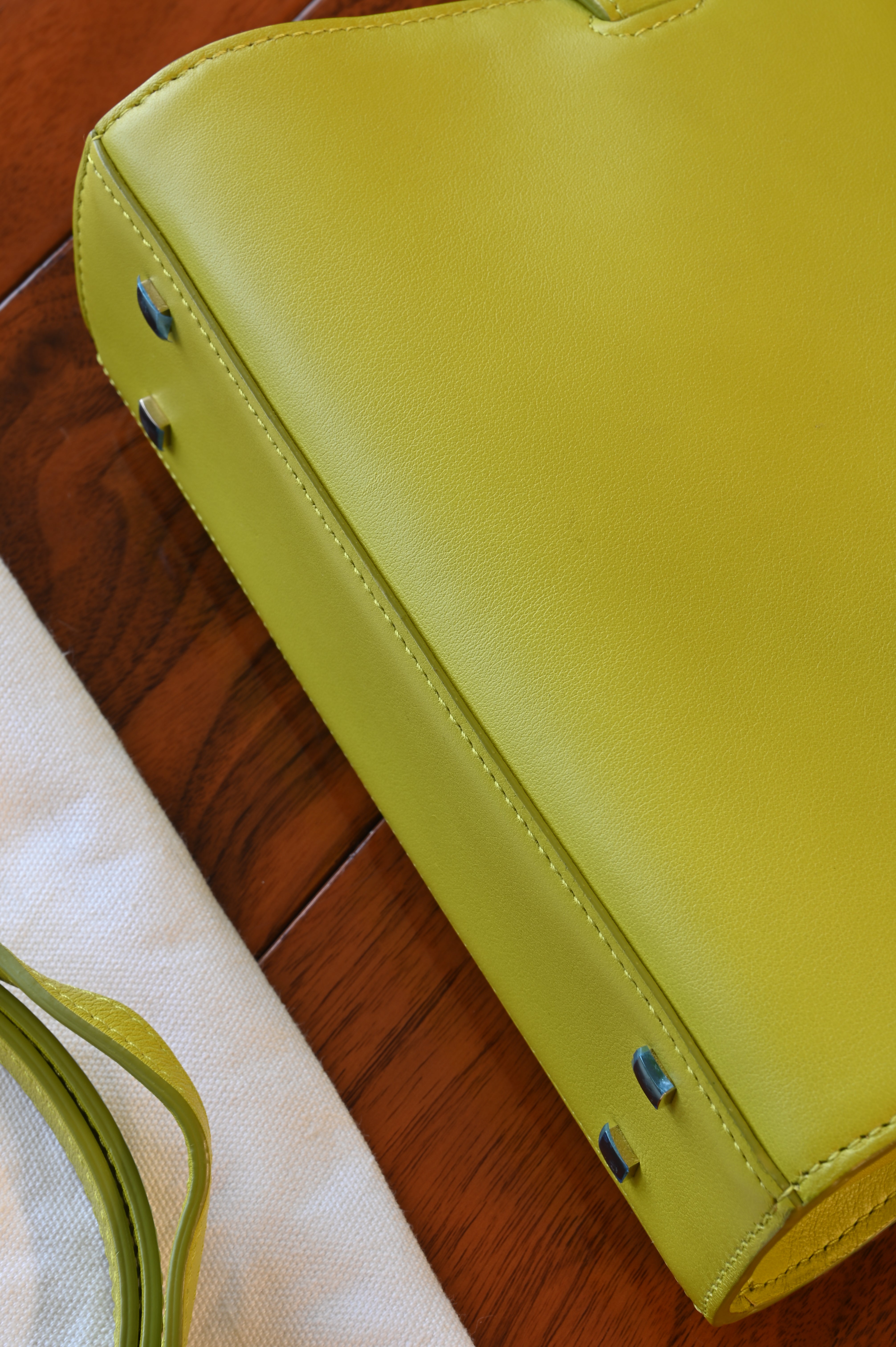 Delvaux Light Green Tempête PM Bag