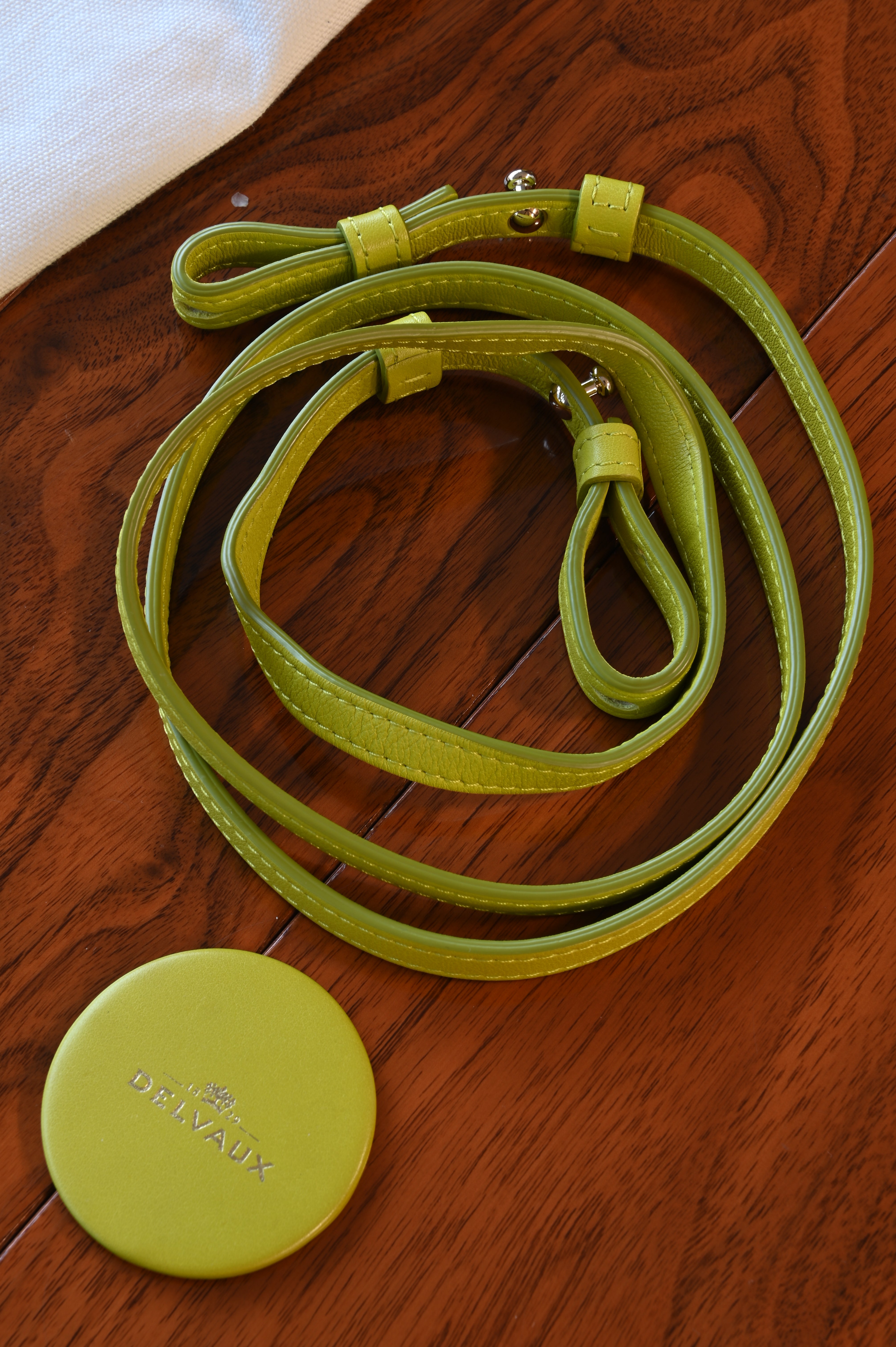 Delvaux Light Green Tempête PM Bag