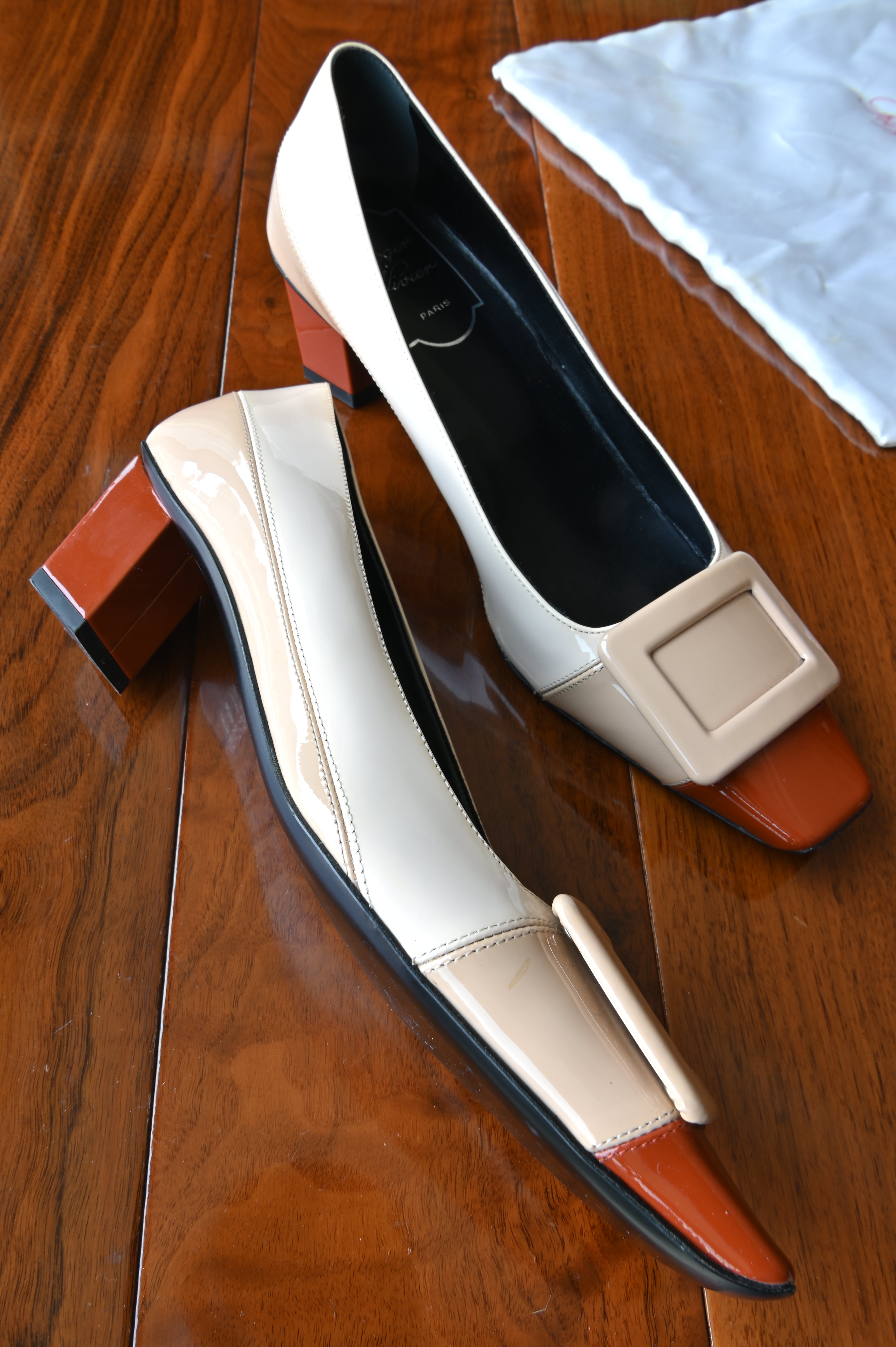 Roger Vivier Tricolor Buckle Pumps