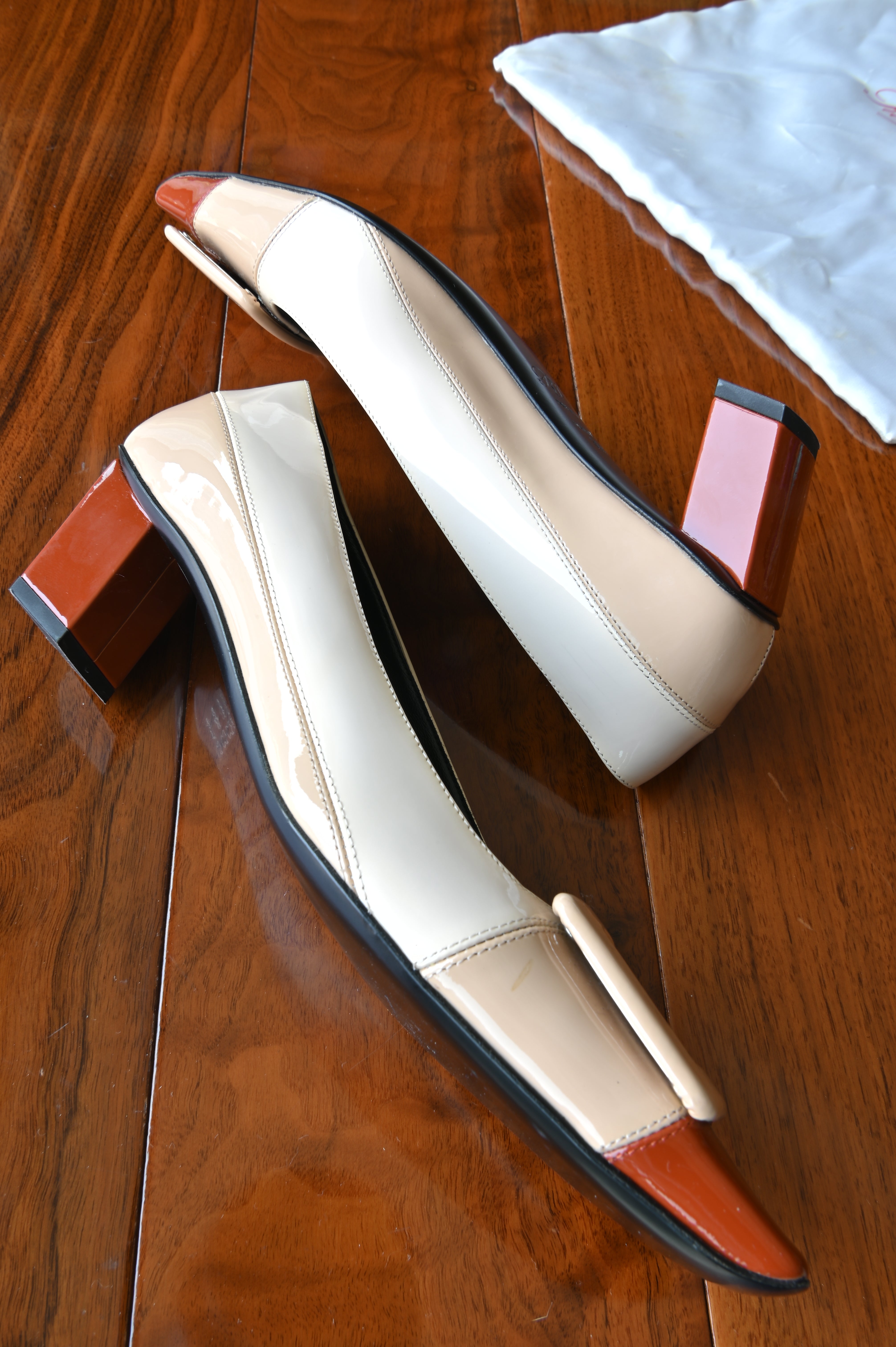 Roger Vivier Tricolor Buckle Pumps