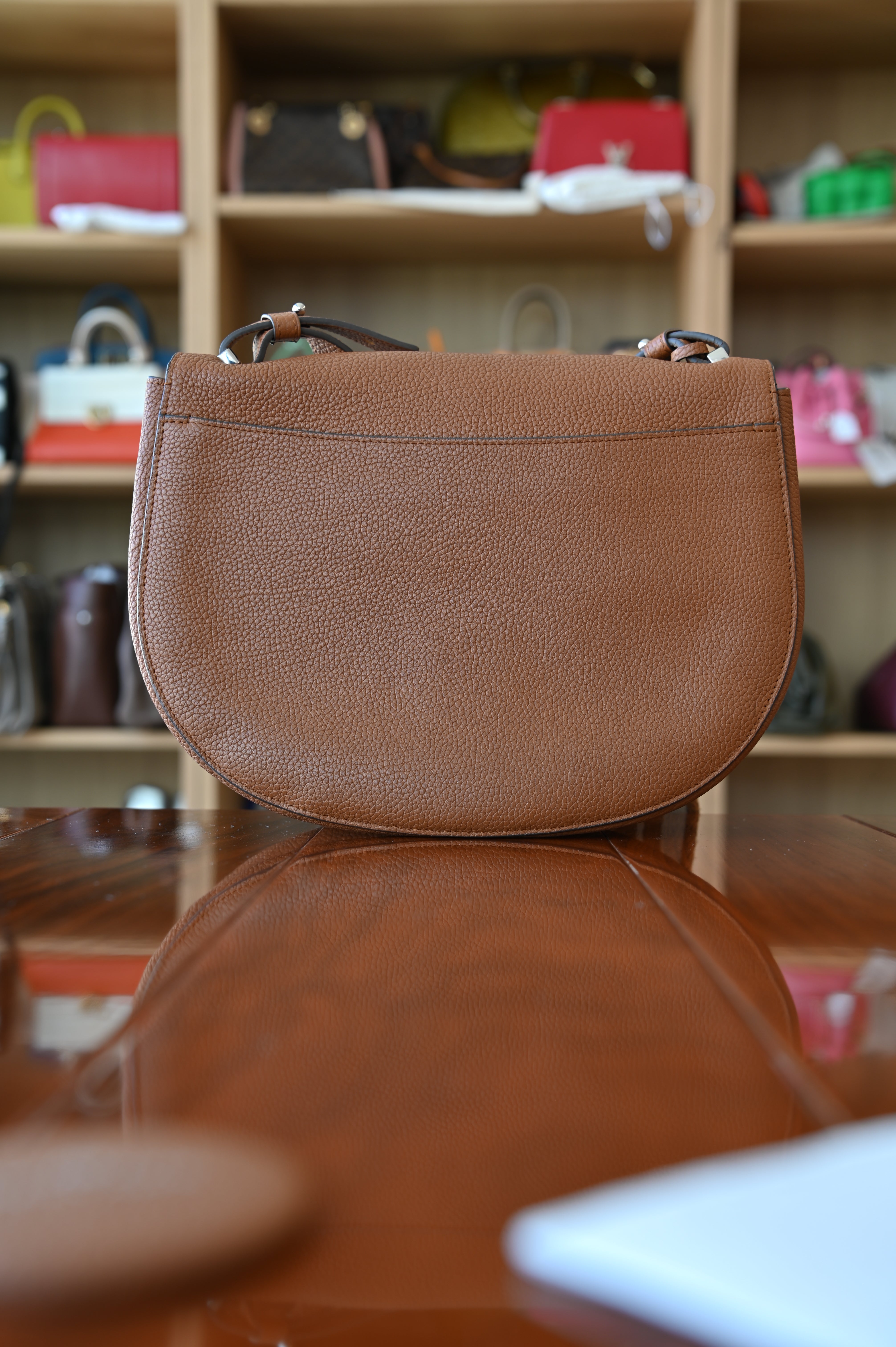 Delvaux Le Mutin Brown Saddle Bag back