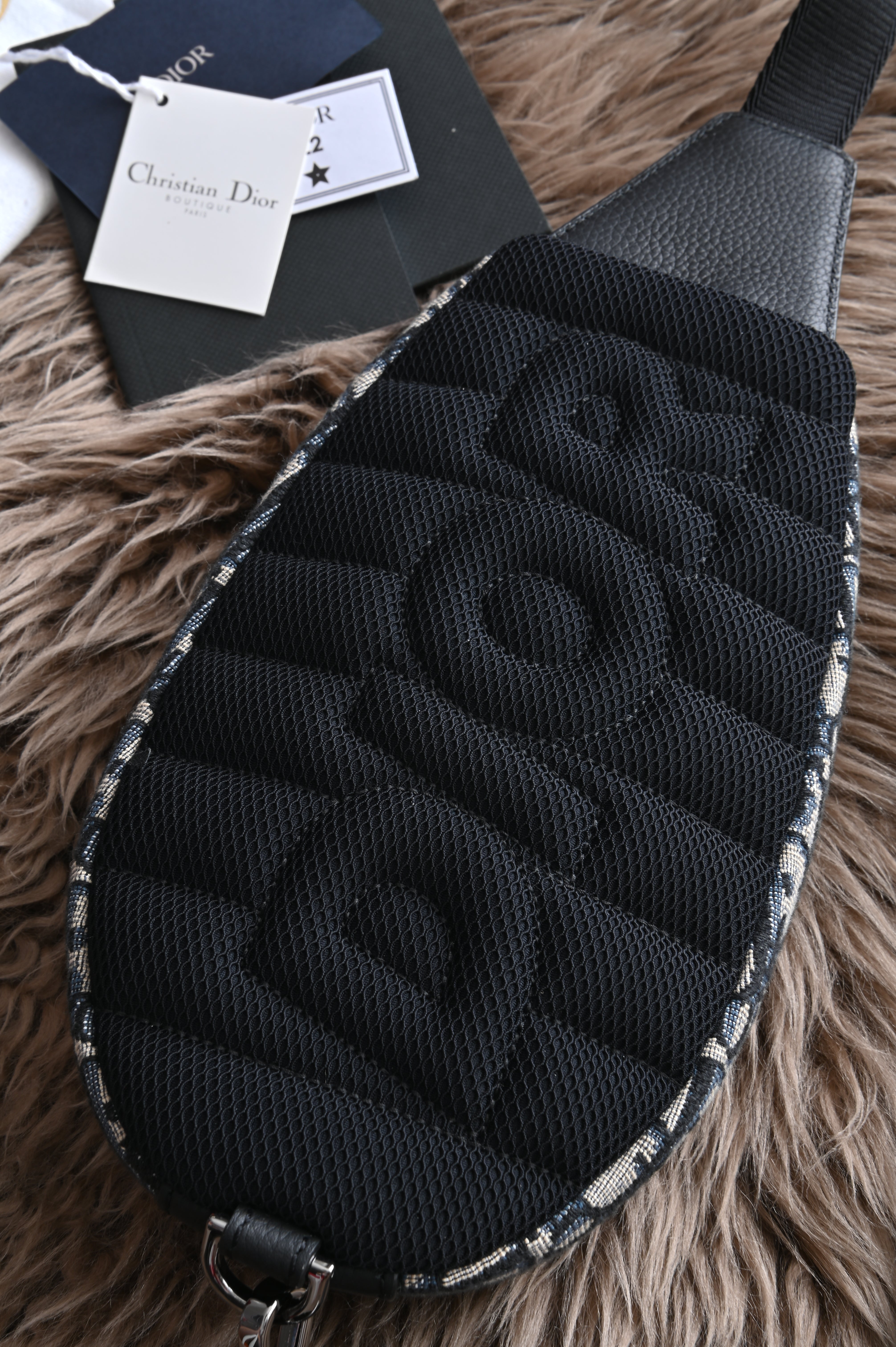 Dior Scarab Oblique Body Bag